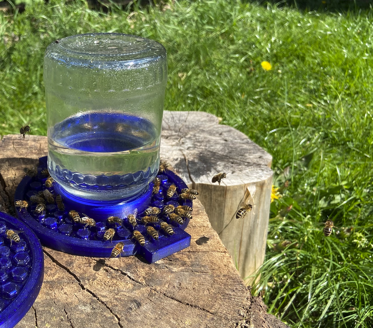 Bee feeder