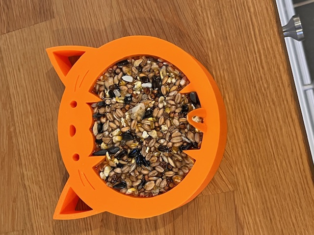 Bird feeder, hungry cat