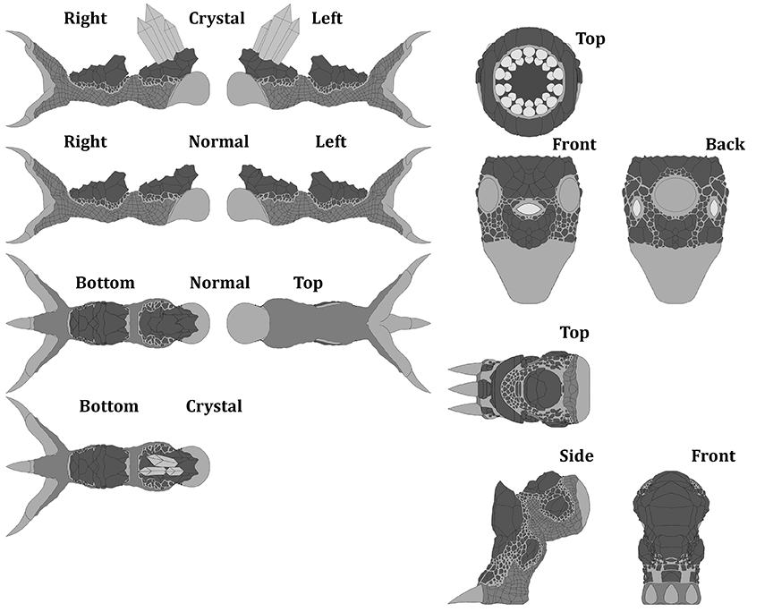 Xorn / Zorn / RockMonster by npdev Download free STL model