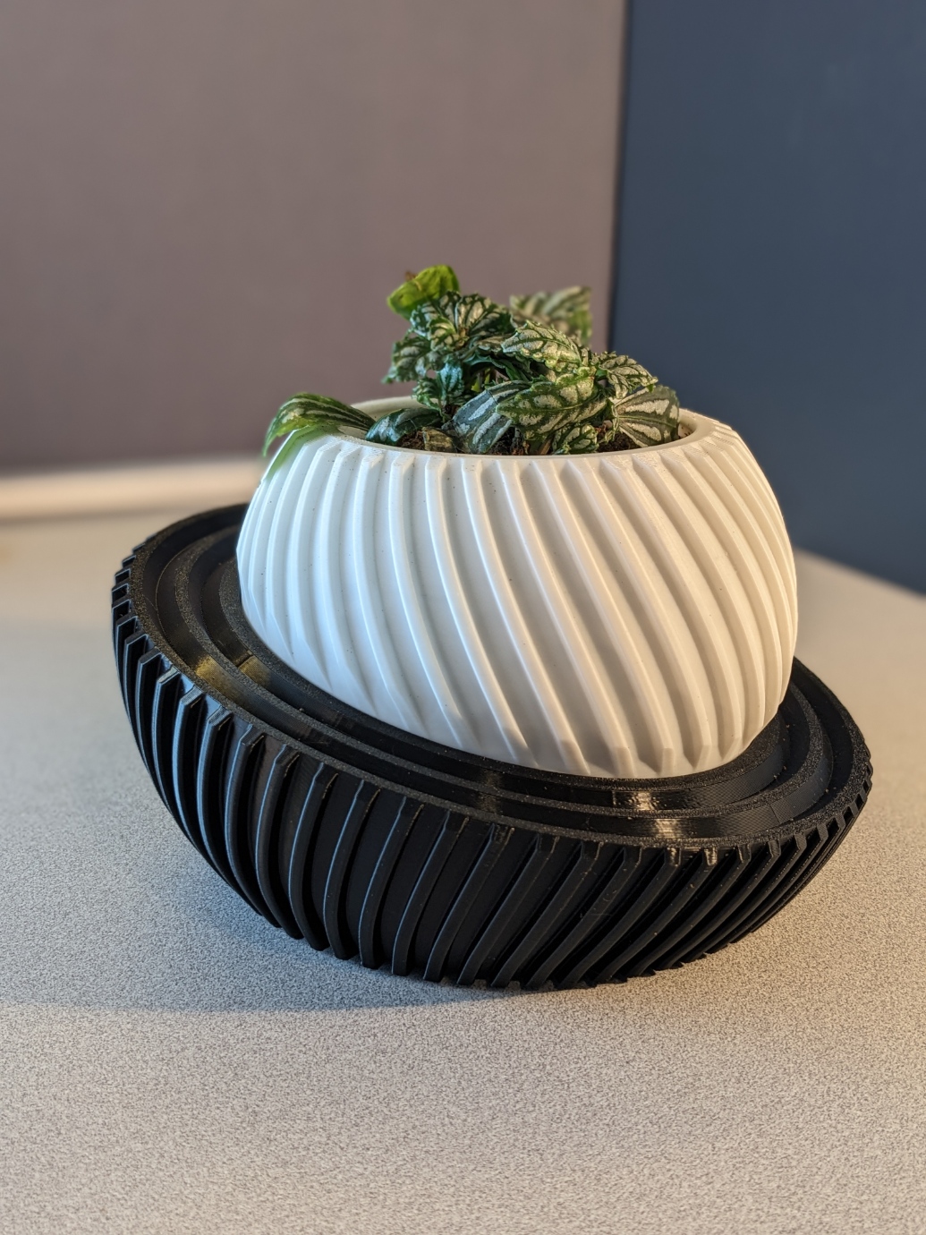 Modern Planter 003