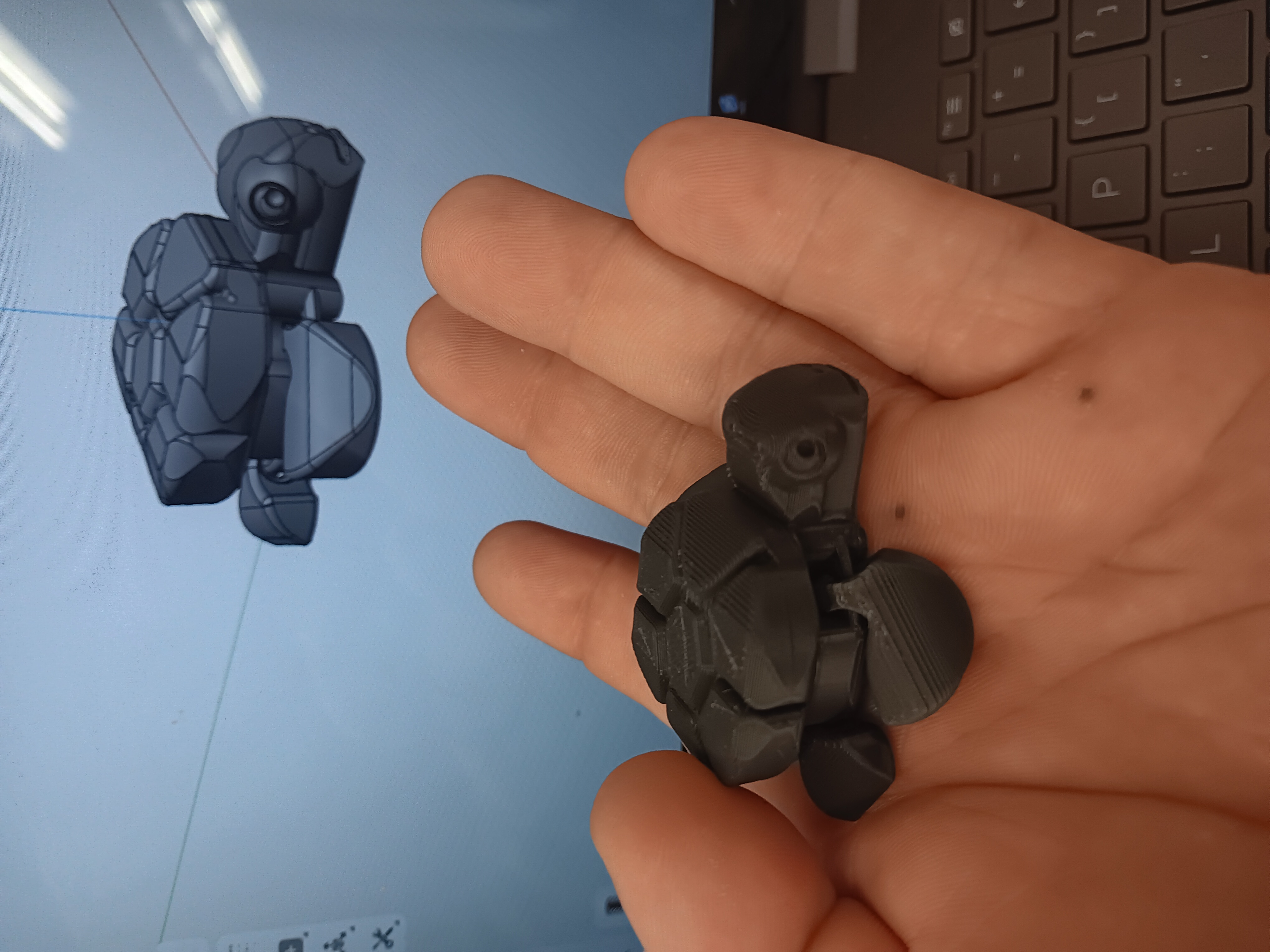 Articulated Turtle (BDias)