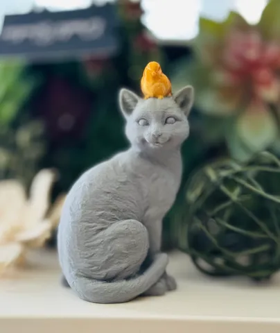 Bird Perched on a Cat