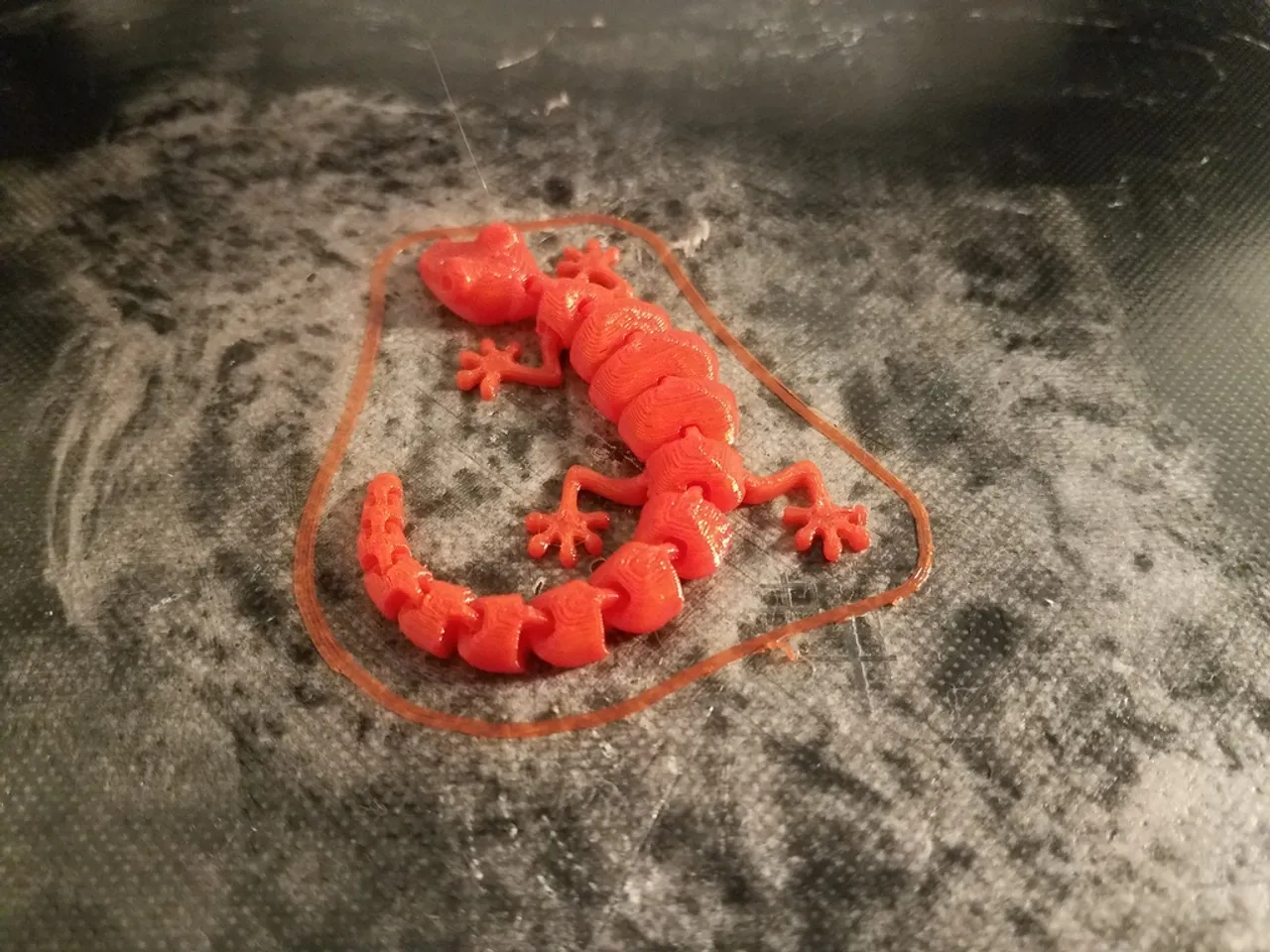 Curled Articulated Lizard by Stetofire | Download free STL model ...