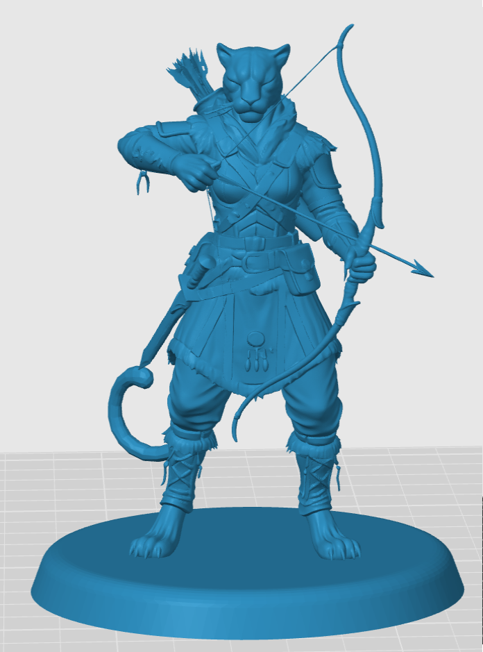 Tabaxi Ranger — miniatura 5