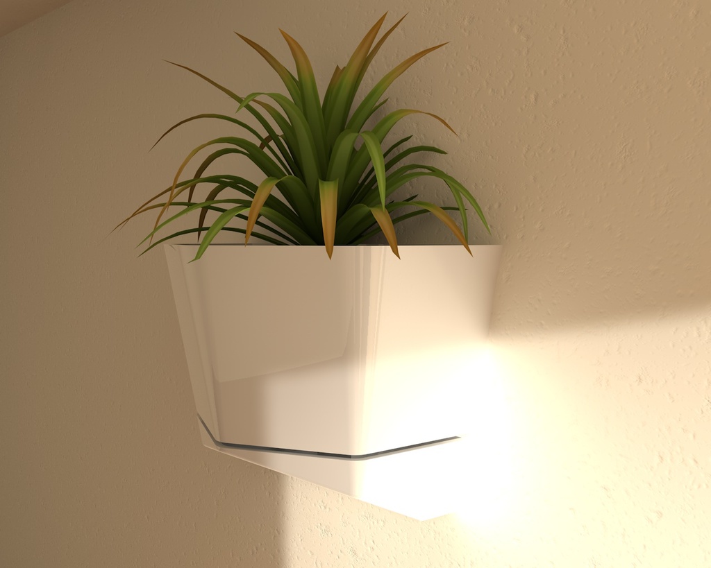 Wall Vase
