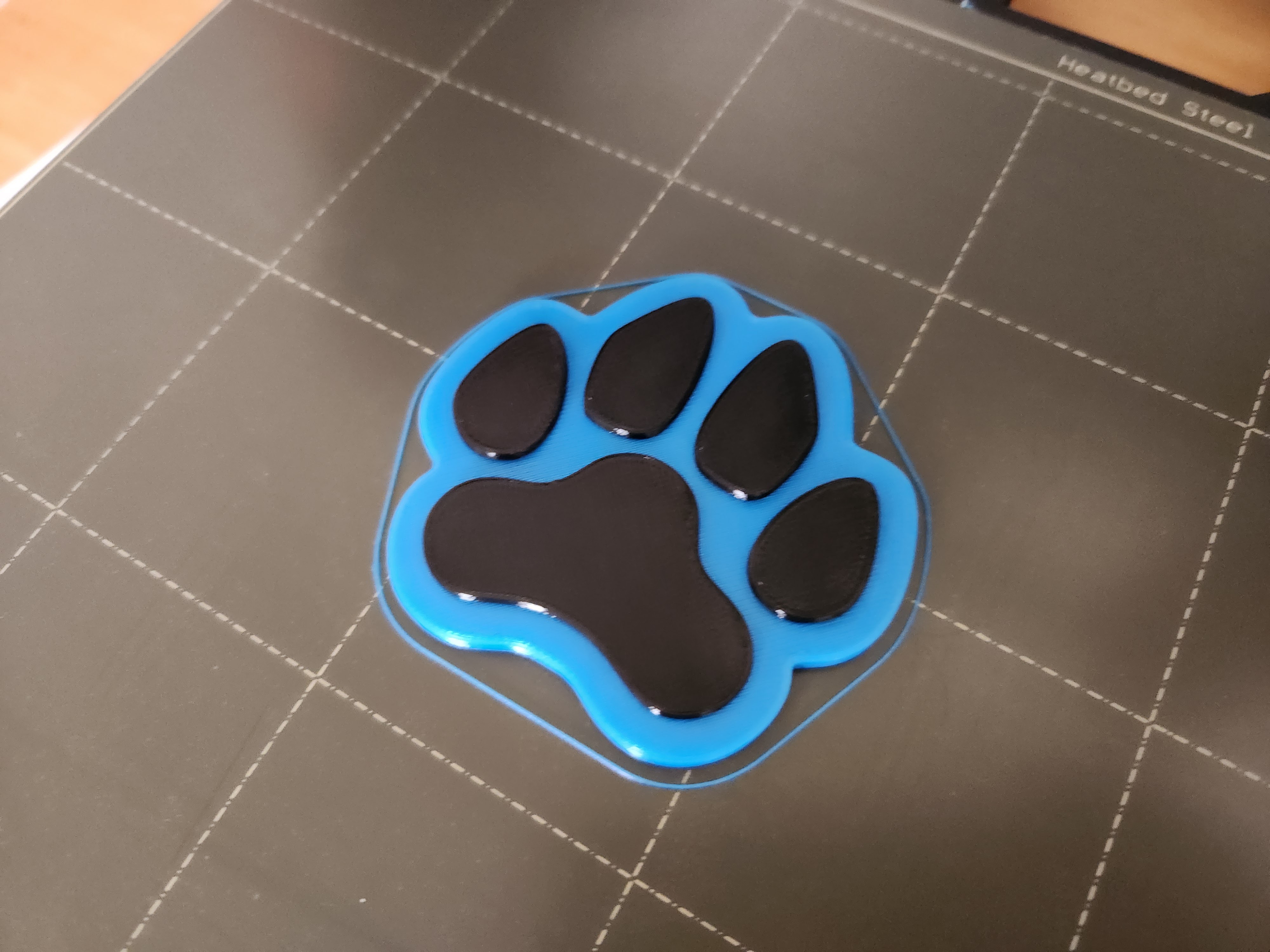 Dog Paw