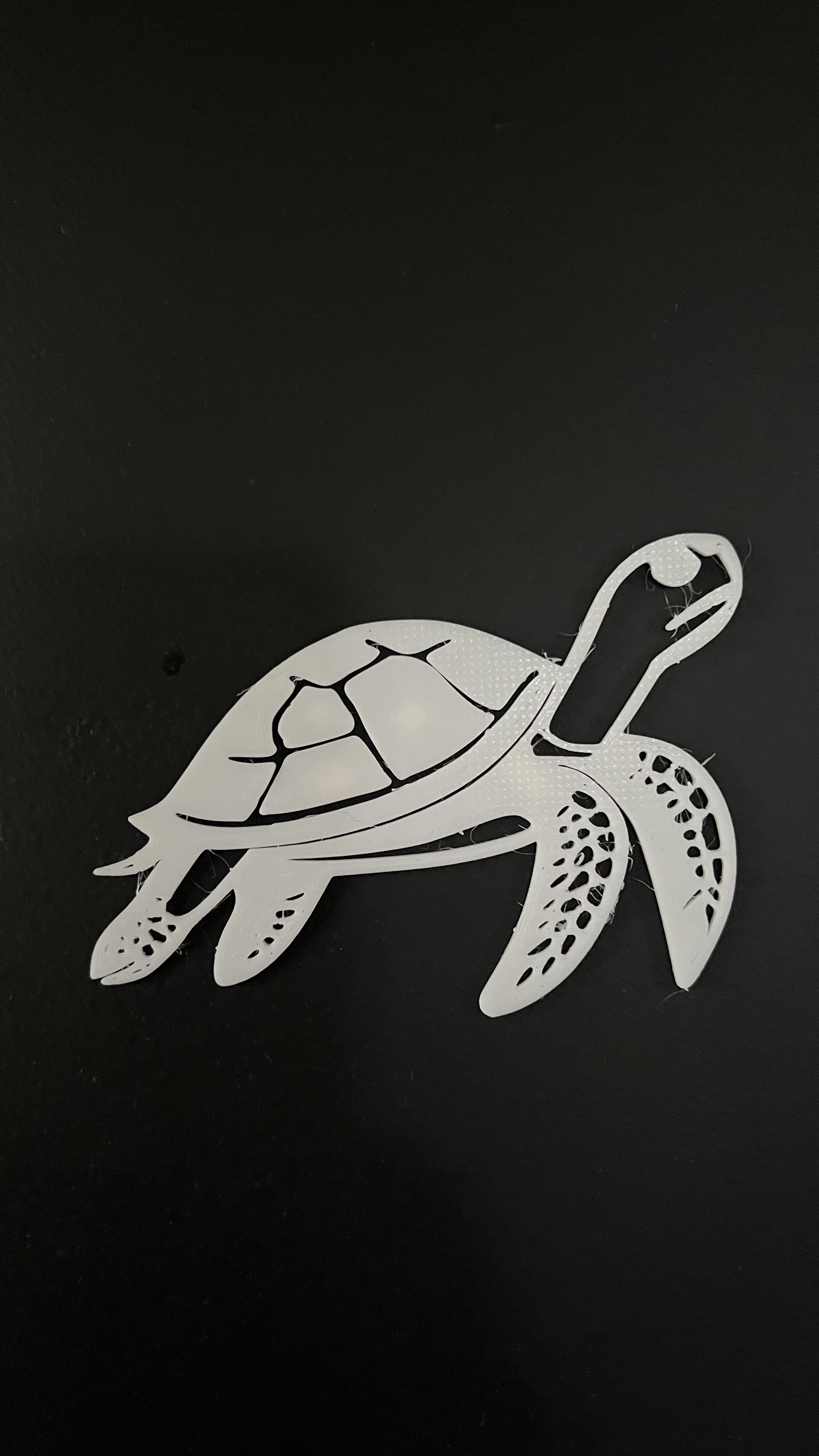 Turtle Wall Art #1