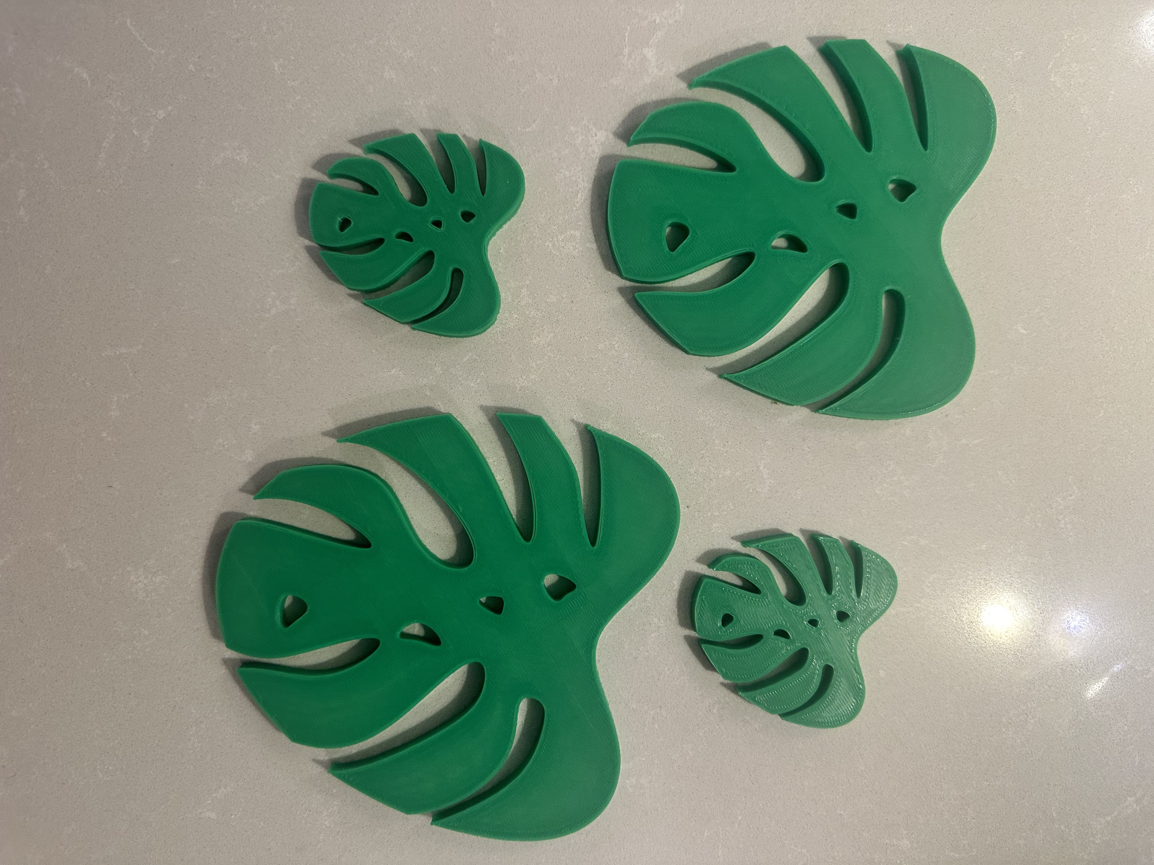 Monstera Coasters
