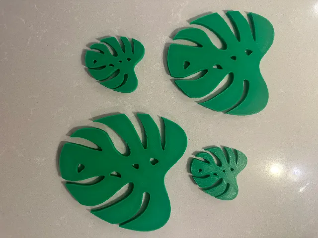 Monstera Coasters