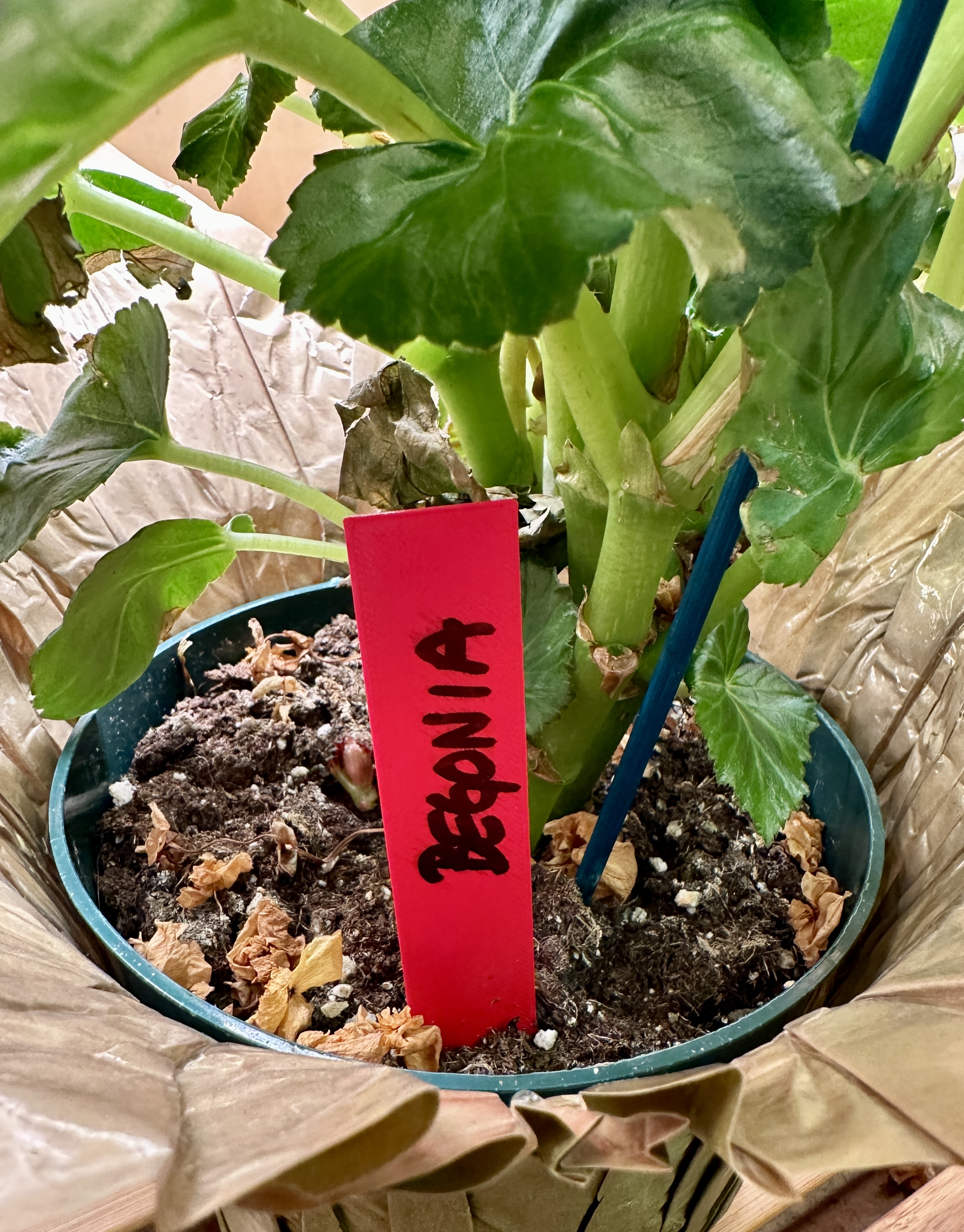 Simple Greenhouse Plant Label Tag