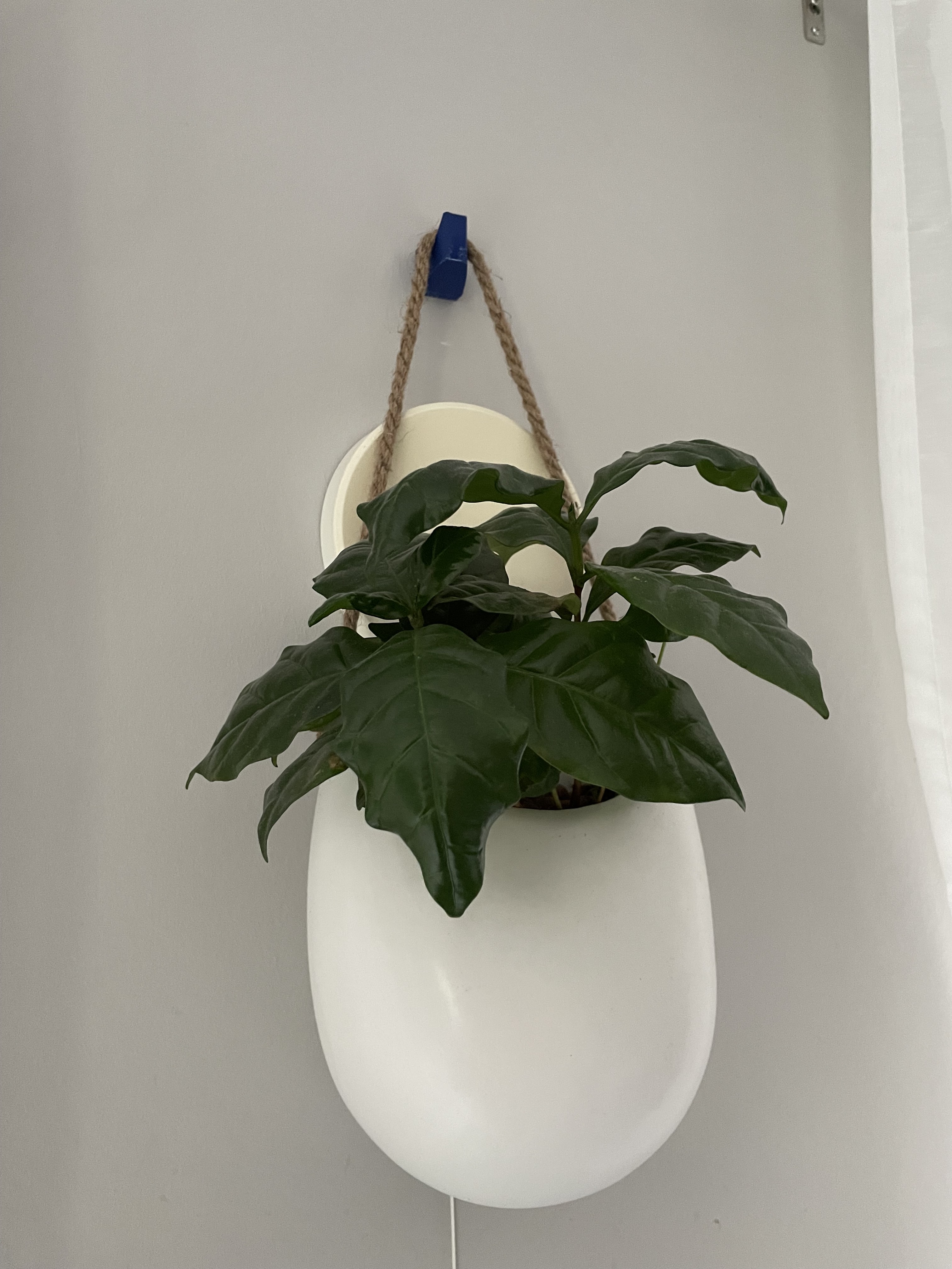 Wall hook optimized for printing/ Wandhaken 3D Druck optimiert