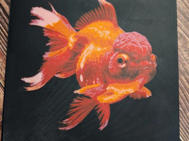 Flatforge Goldfish