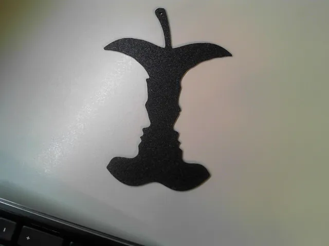 What Do You See ?