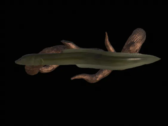 Eel underwater statue
