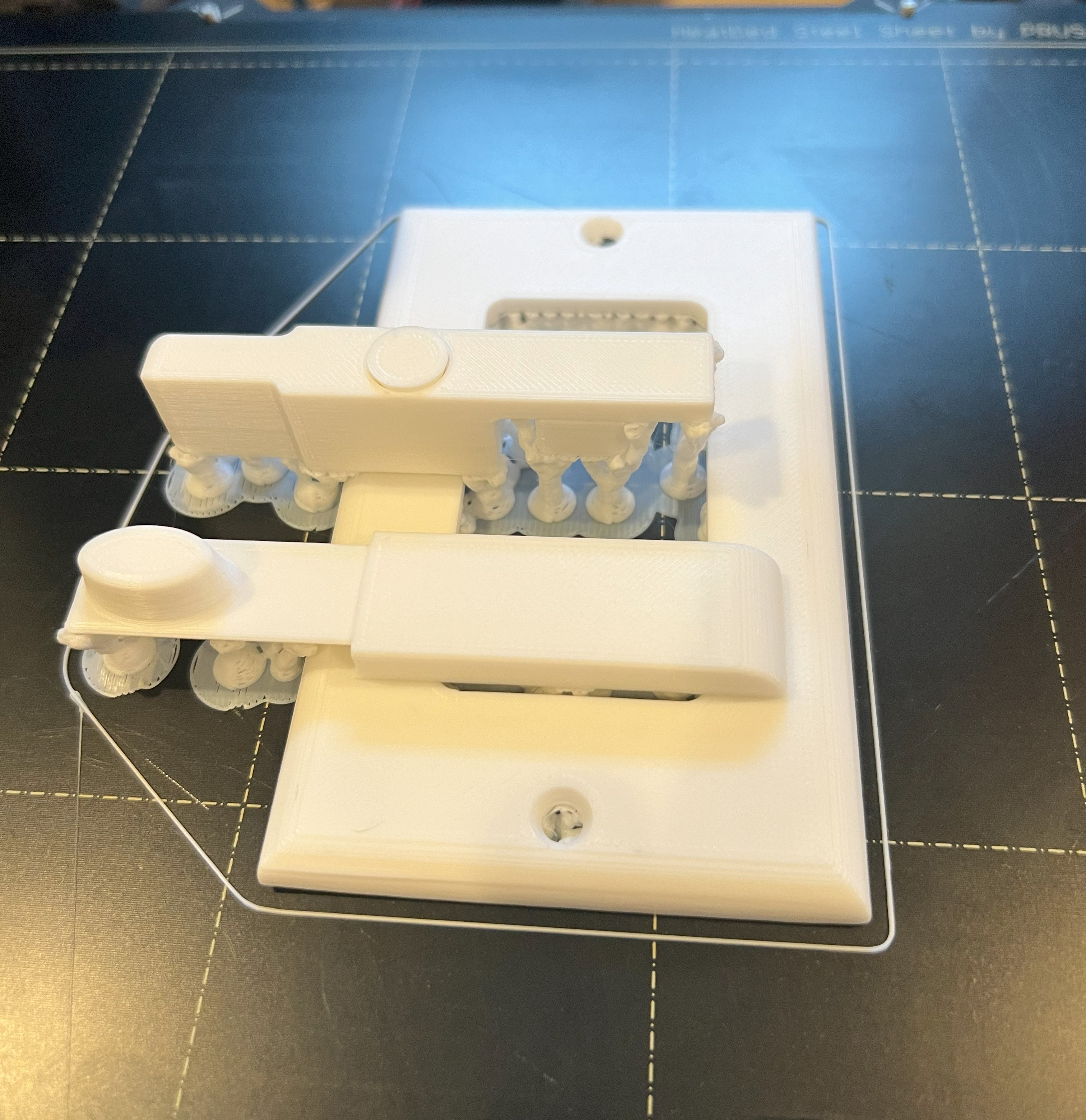 Lutron Skylar Dimmer Switch Extension Cover Plate (PrintinPlace