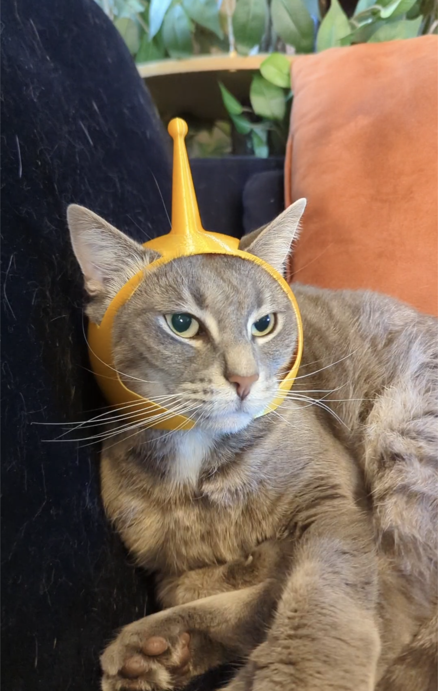 Cat Space Helmet