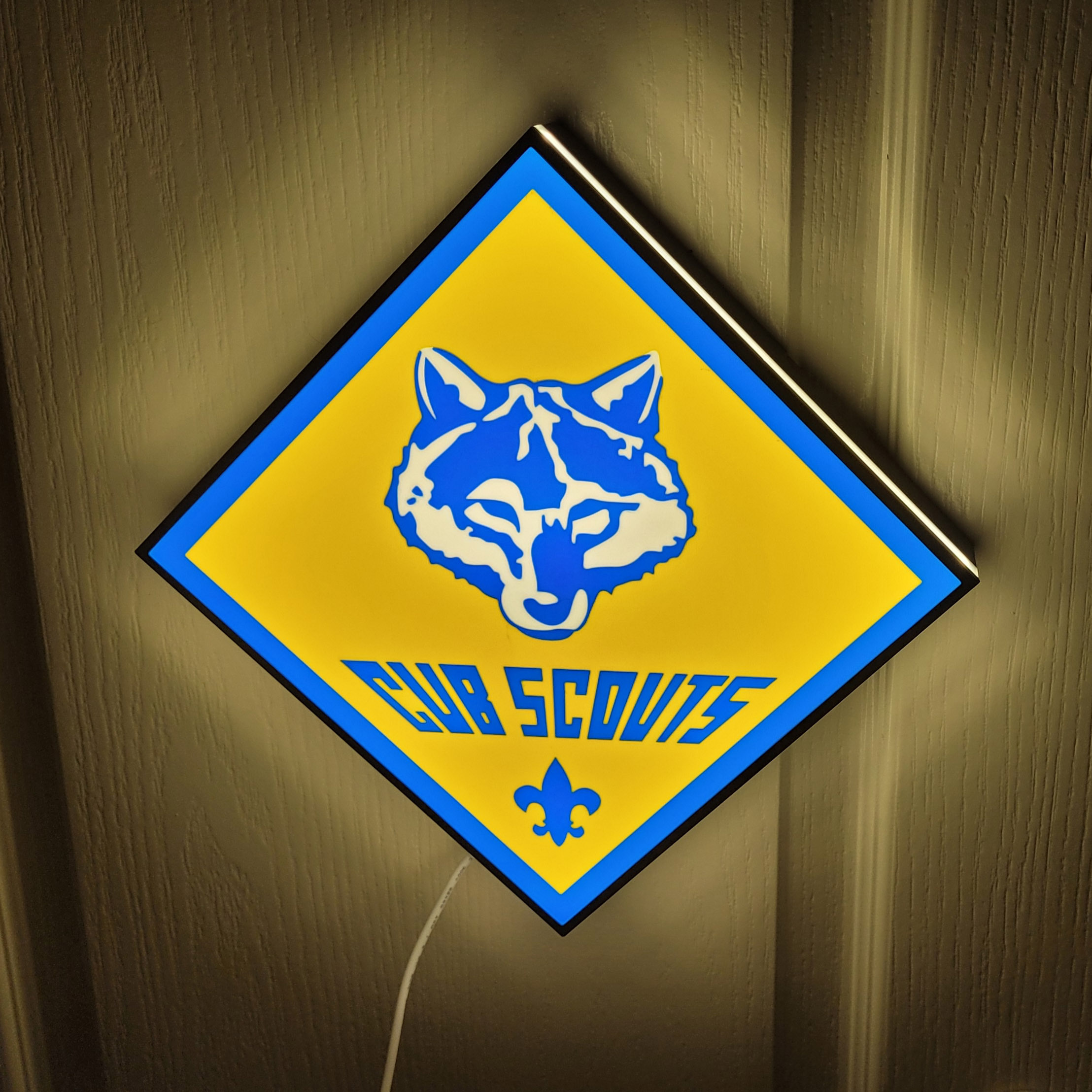 Cub Scout Light Box