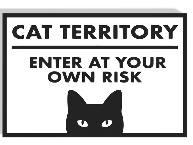 Cat Territory Decor