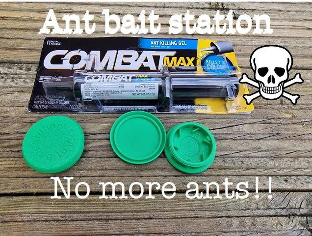 Ant bait station. No trap.