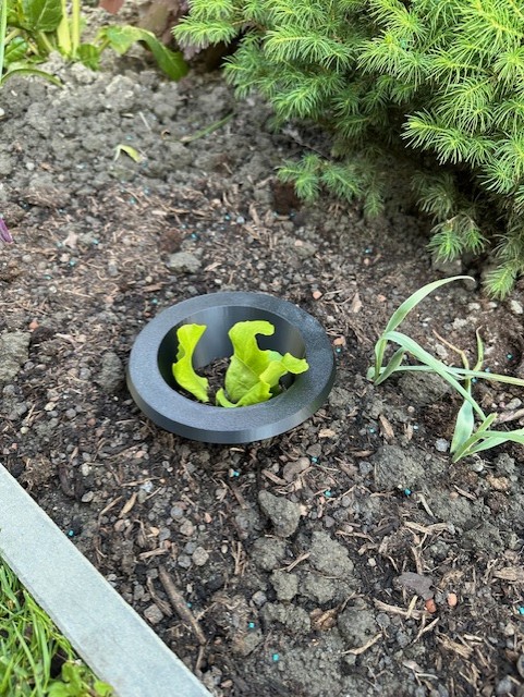 Slug Protection Ring for Seedlings – Stackable — miniatura 4
