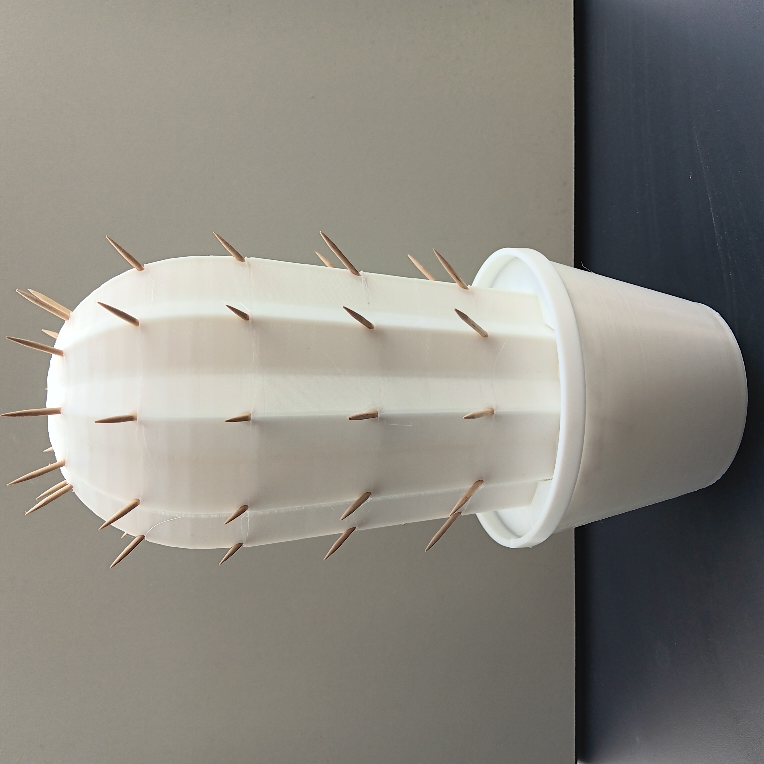 cactus toothpick holder