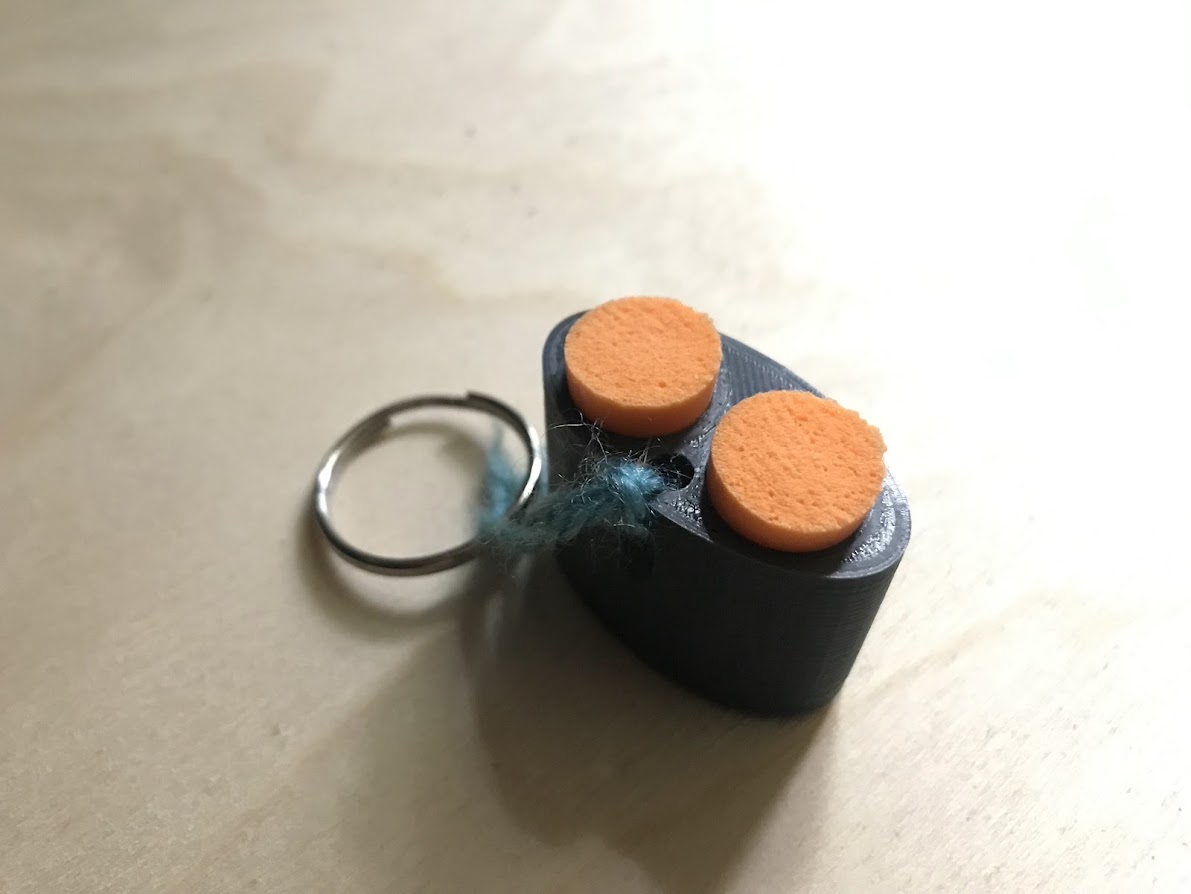Earplug case