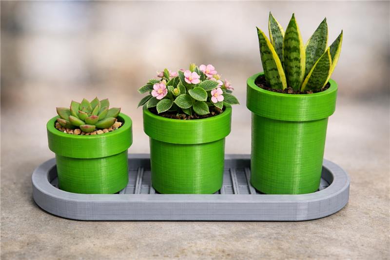 Warp Pipes Pot