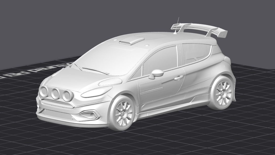 Rally závodní auto 7