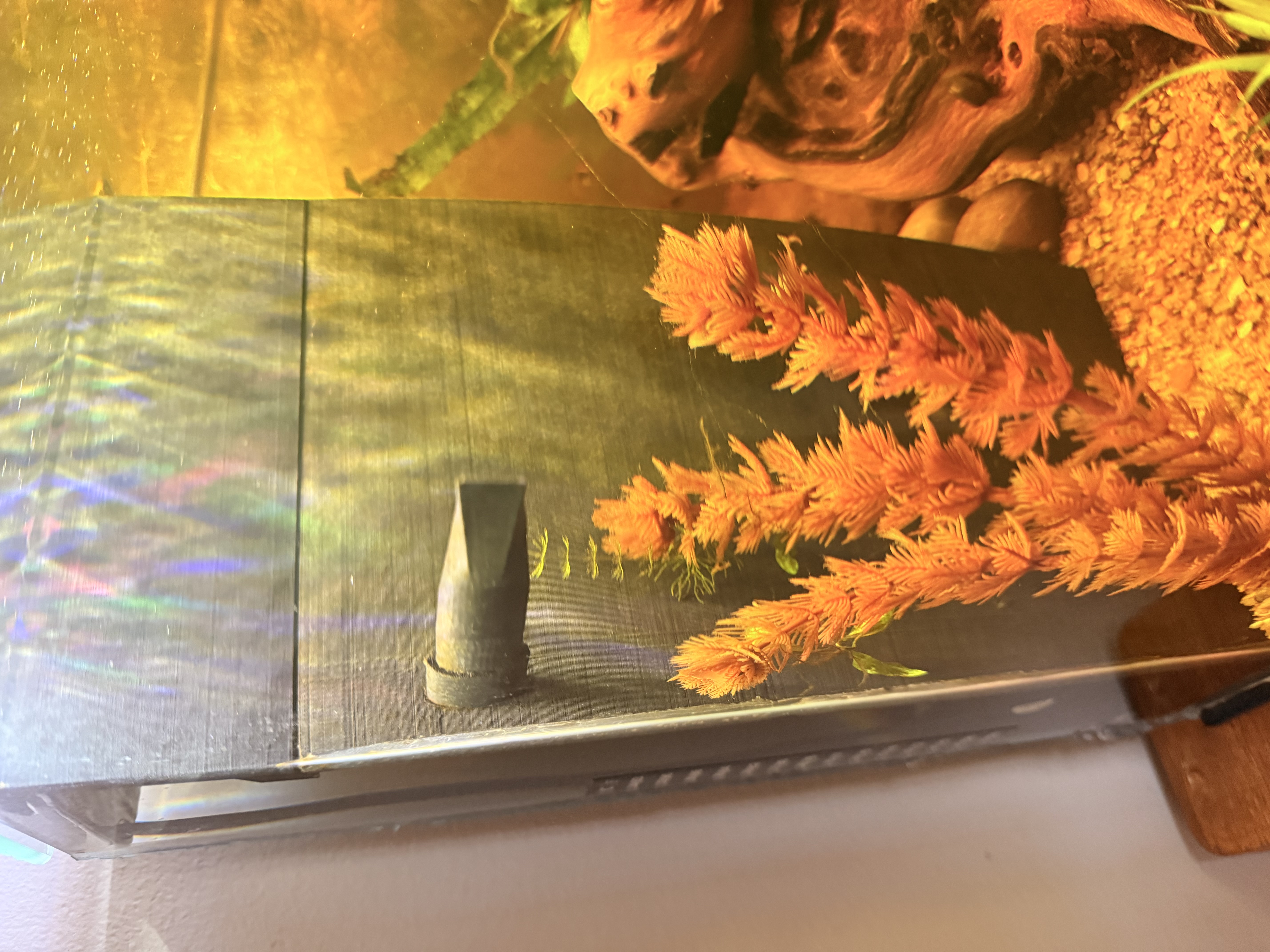 DIY Fish Tank — miniatura 2