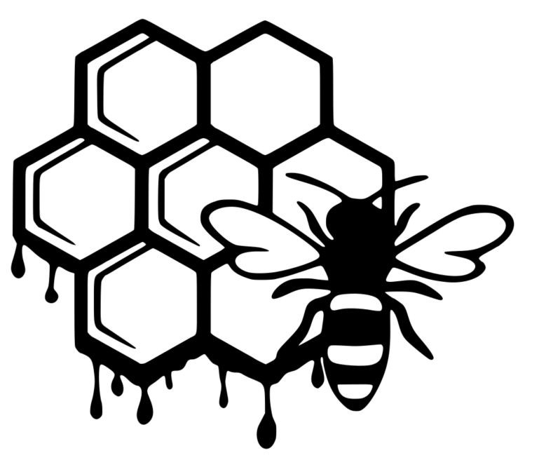 Honeycomb and Bee Wall art