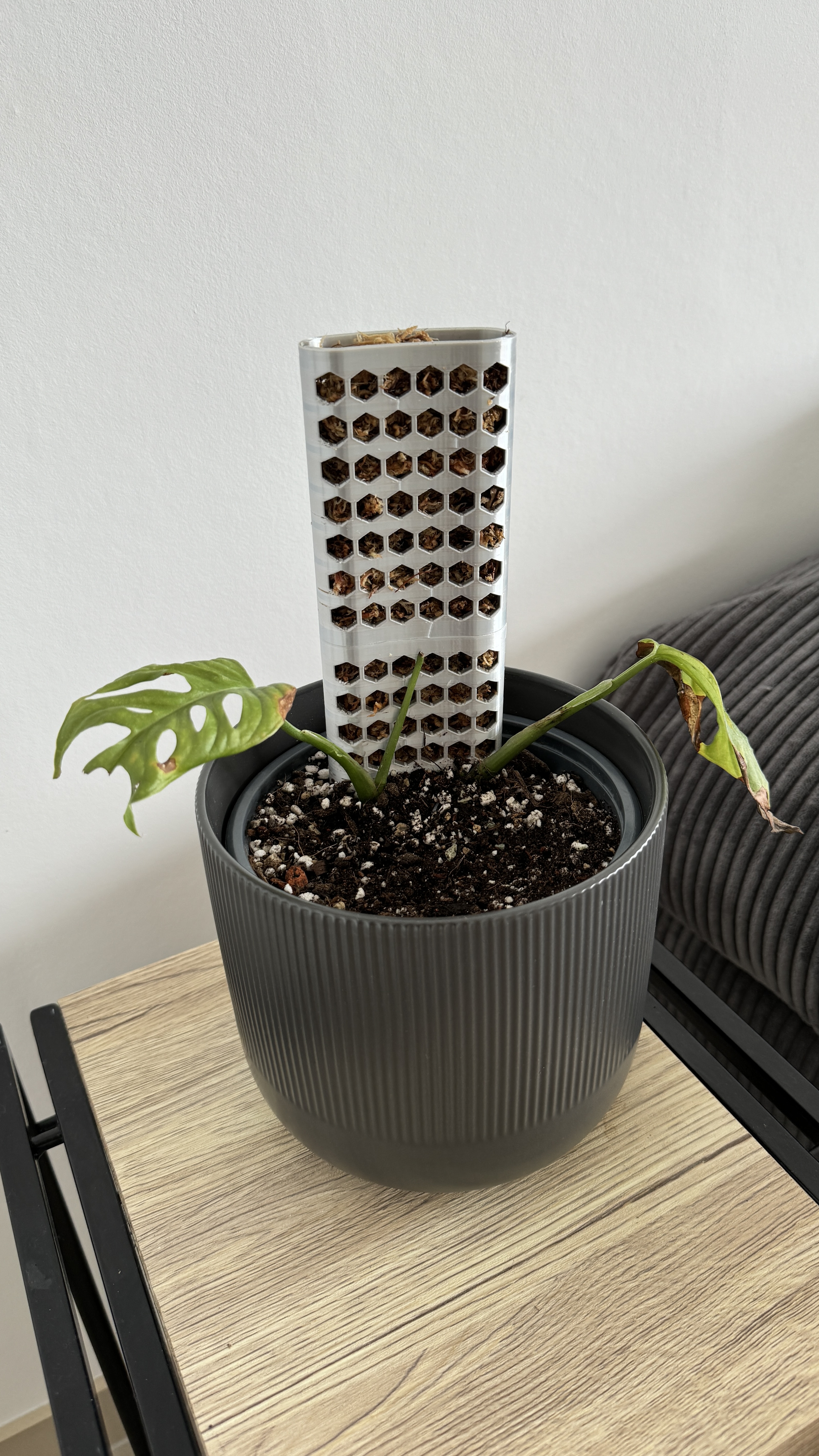 Moss pole modern style stackable