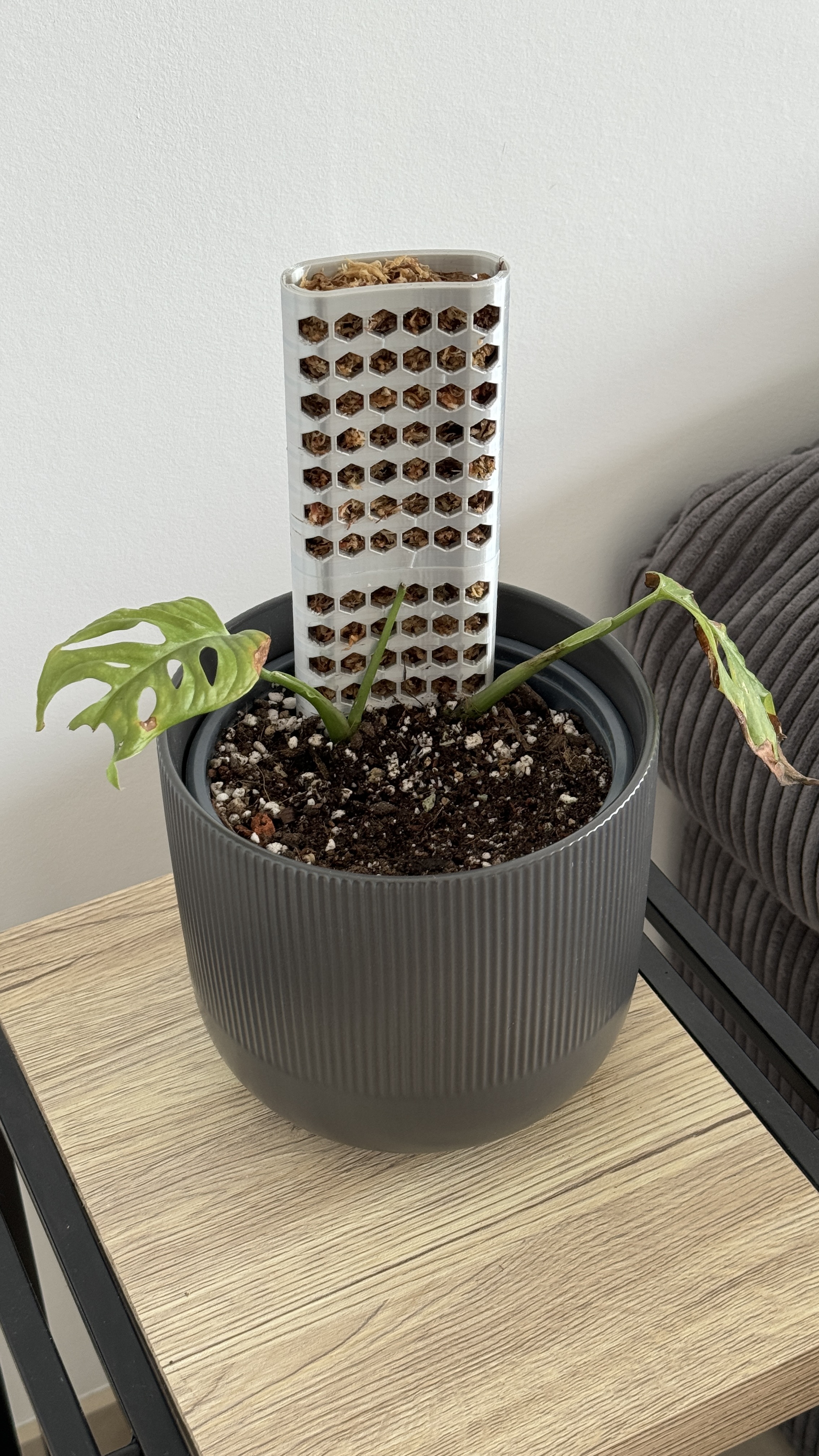 Miniatura 2 do modelo 3D Moss pole modern style stackable
