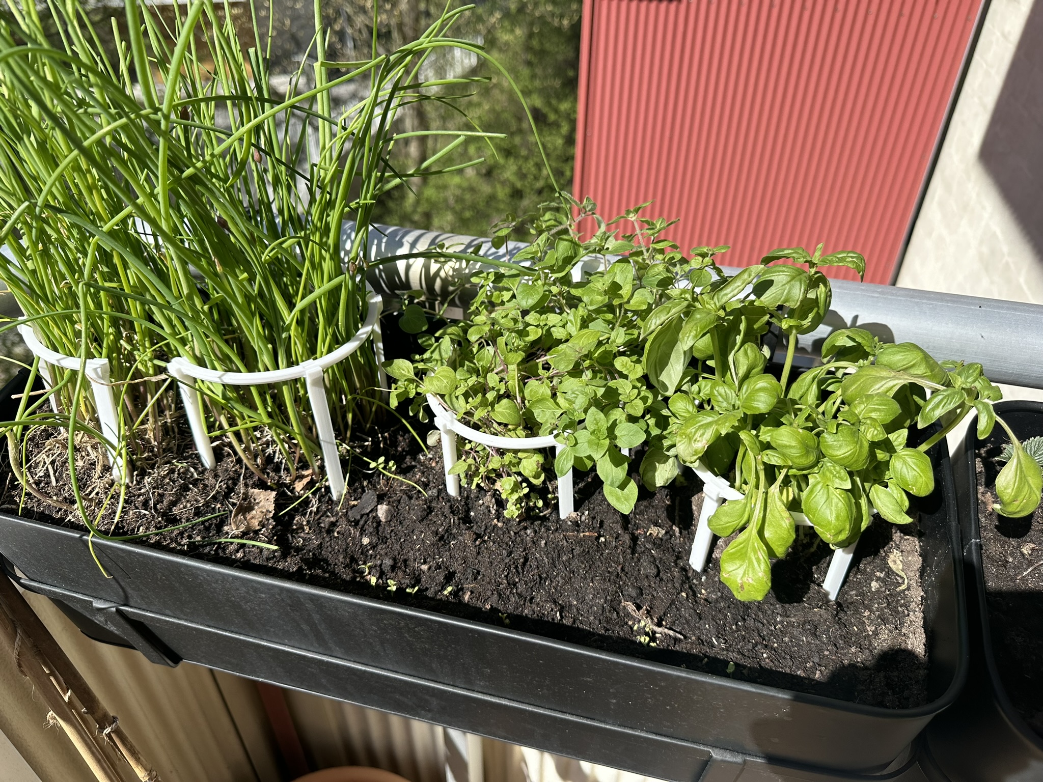 Plant support - split ring