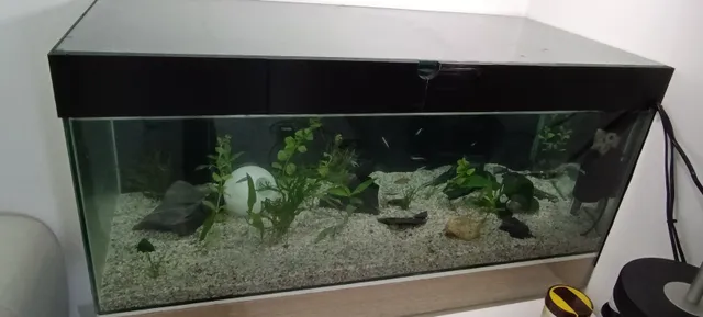 Aquarium cover for diy aquarium from ikea glass shelfs