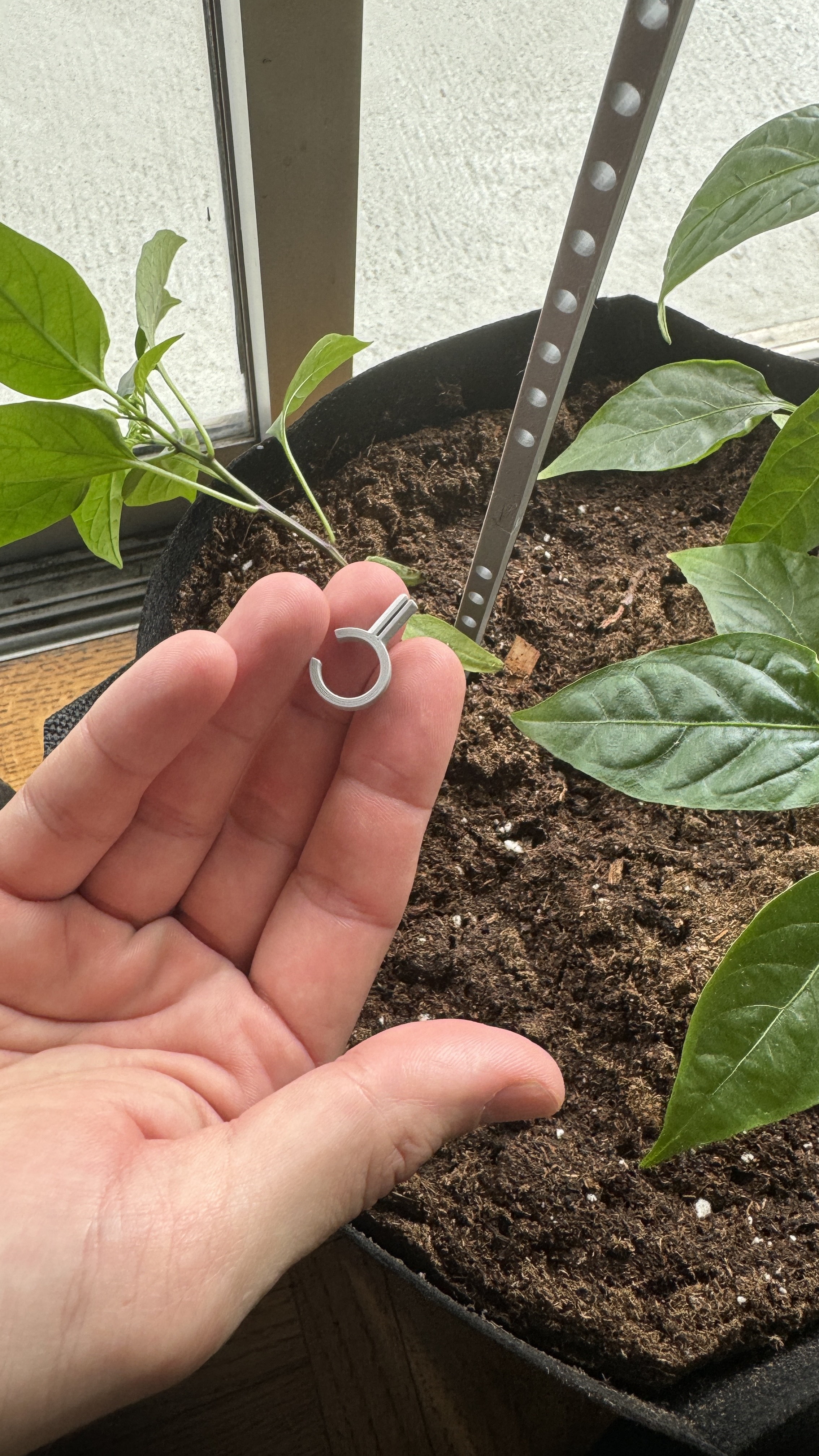 Planting Stake with Clips — miniatura 8