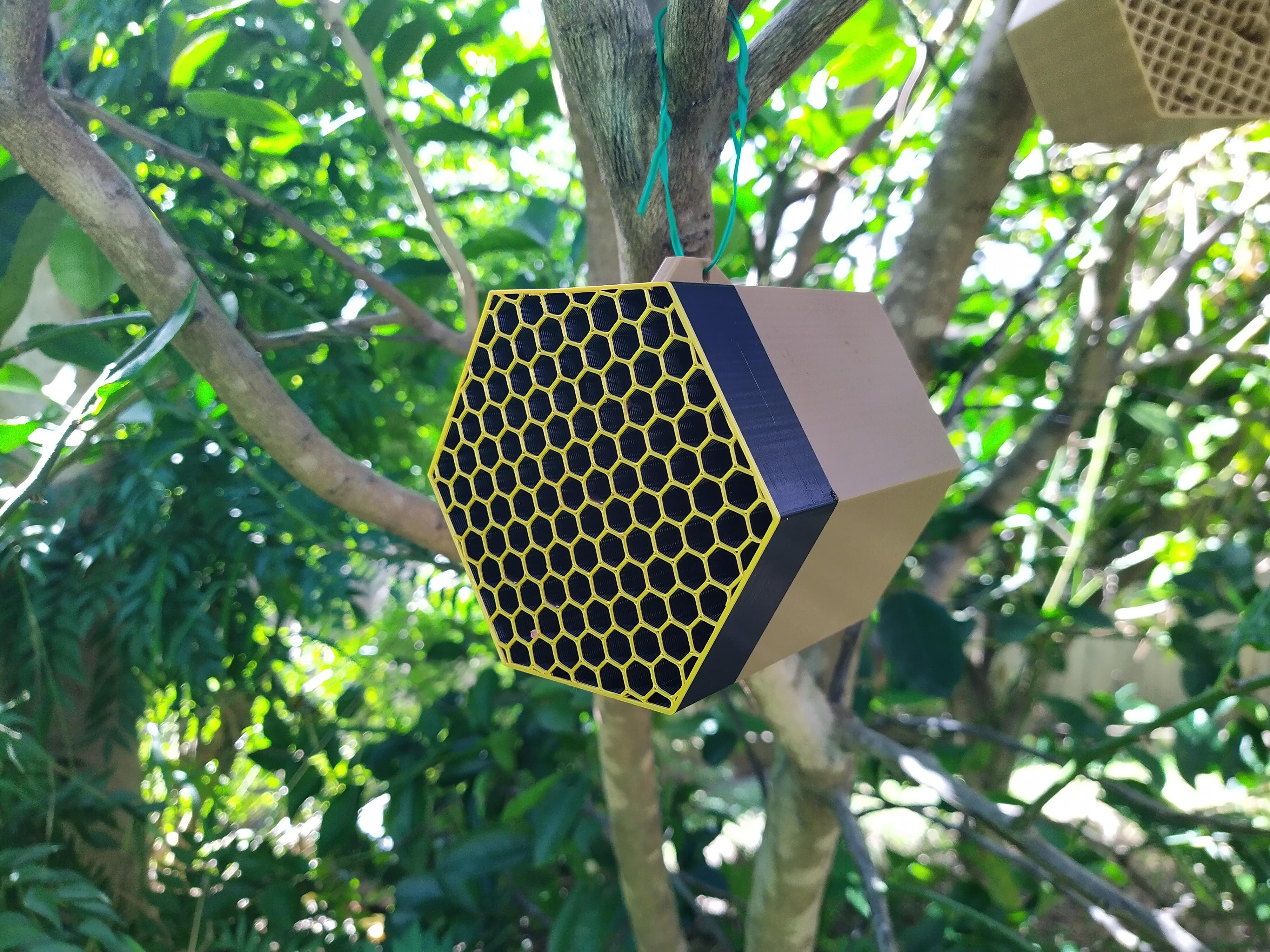 BEE HOTEL