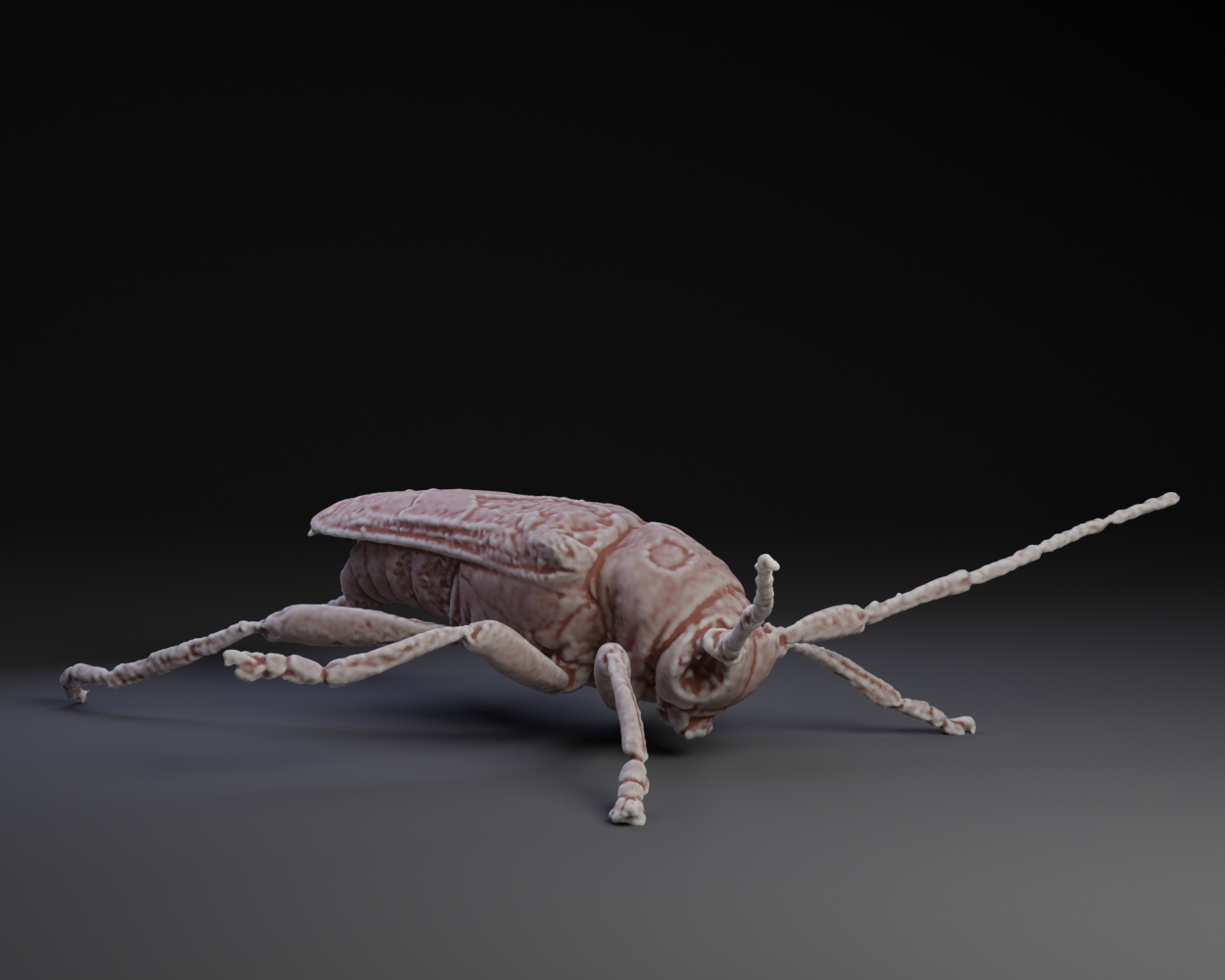 Longhorn Beetle