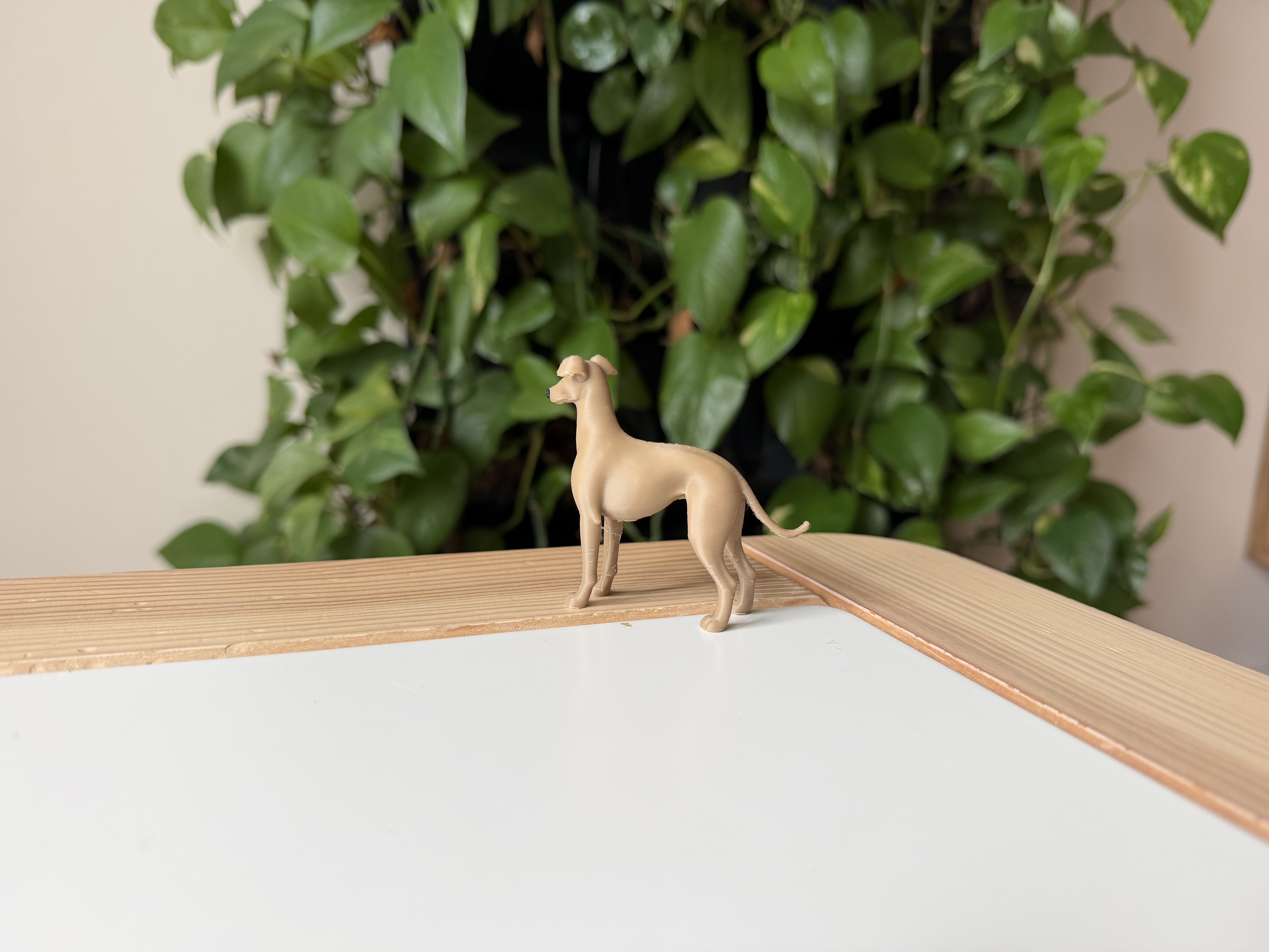 Greyhound — thumbnail 5