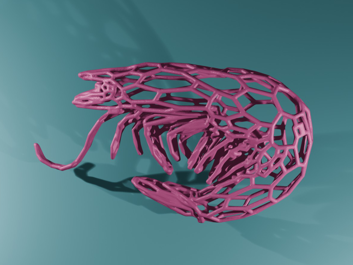 Shrimp Voronoi