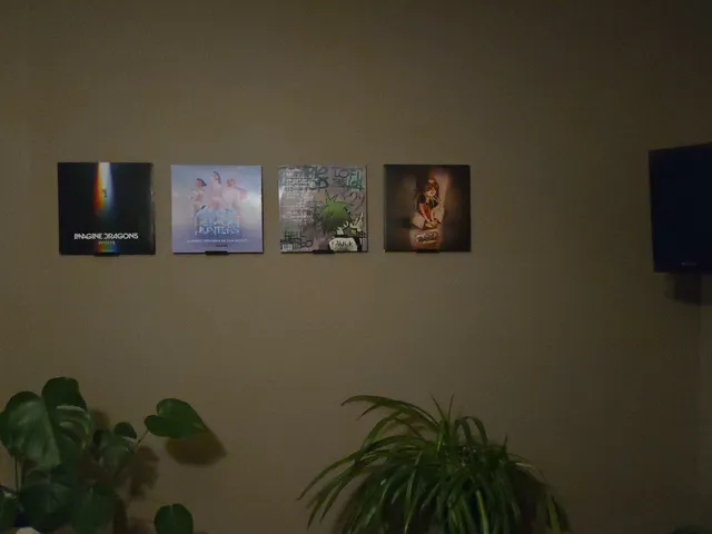 Vinyl wall mount