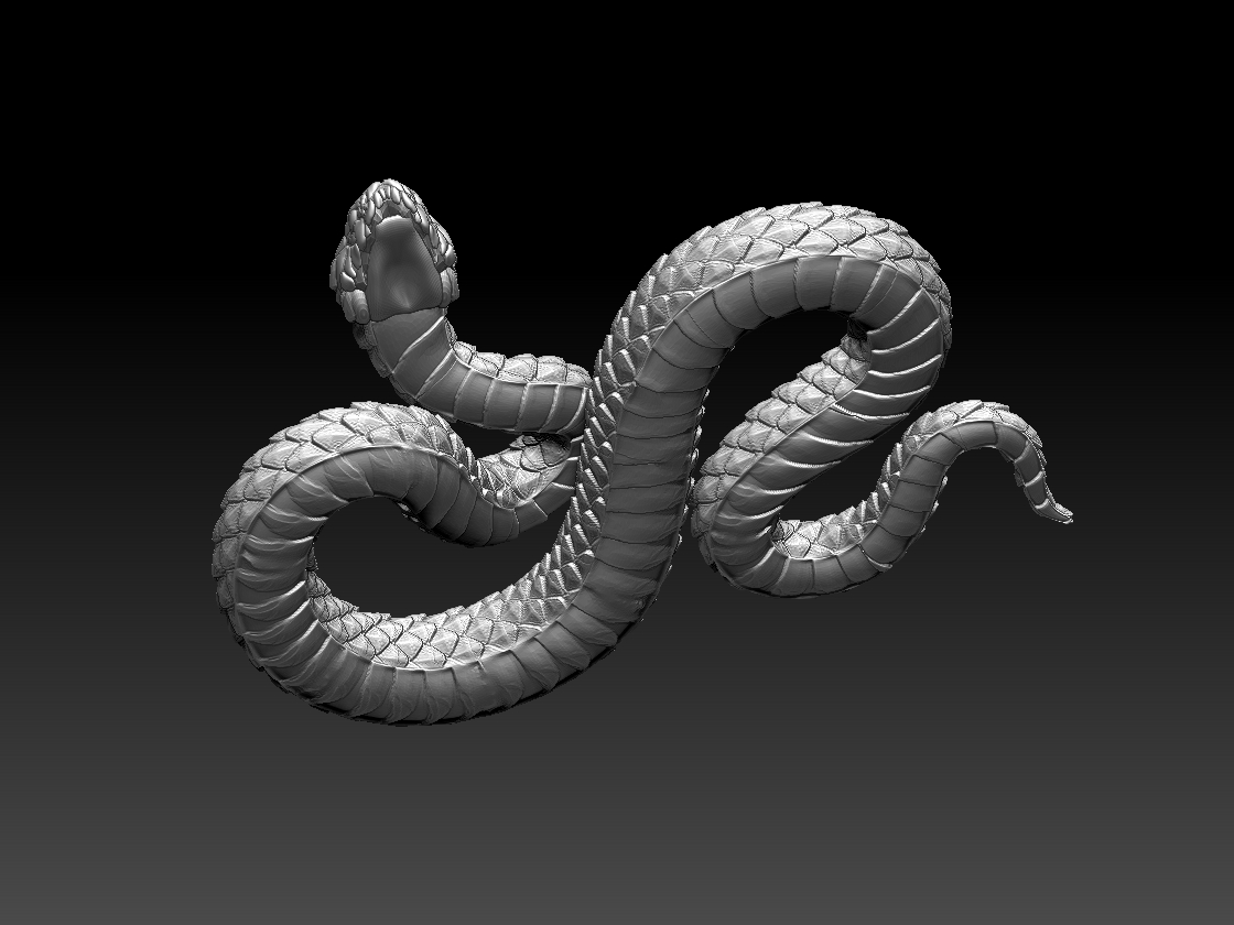 SNAKE — miniatura 6