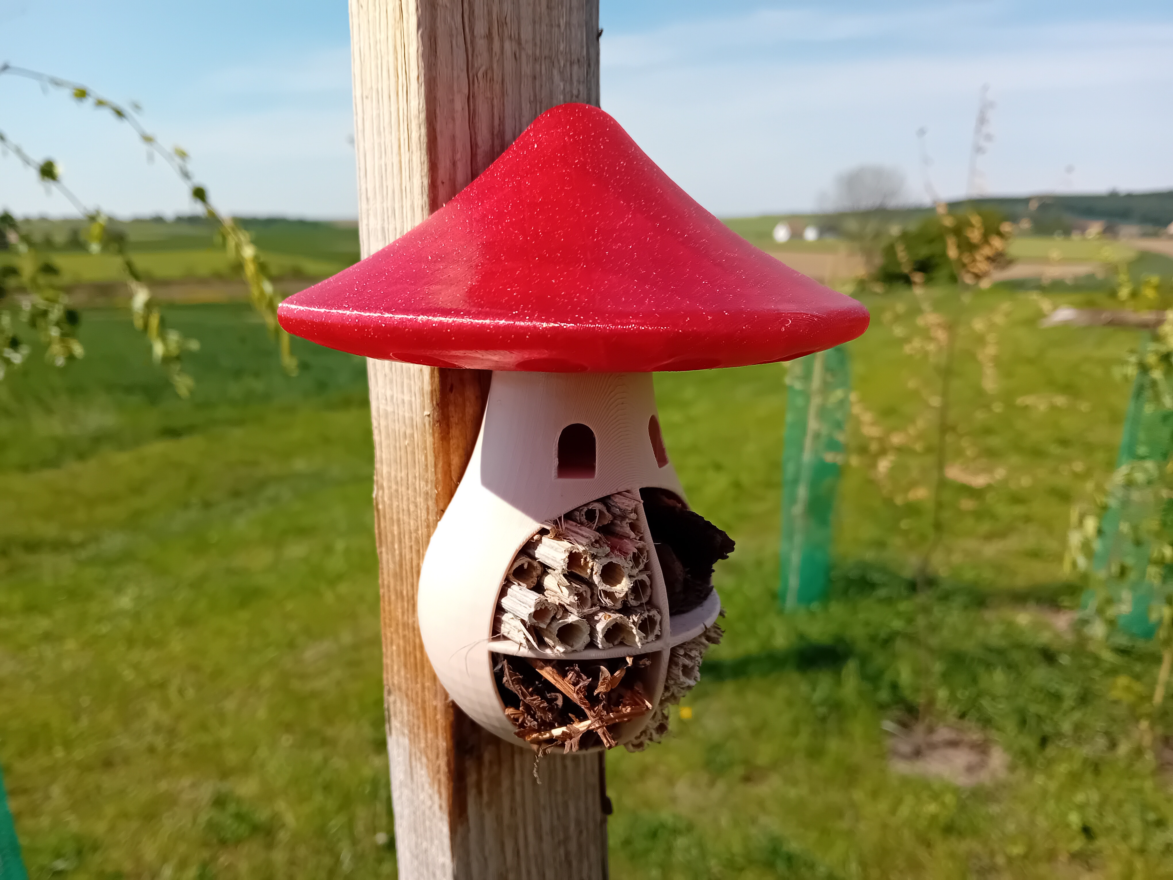 Insect Hotel: Mushroom Inn
