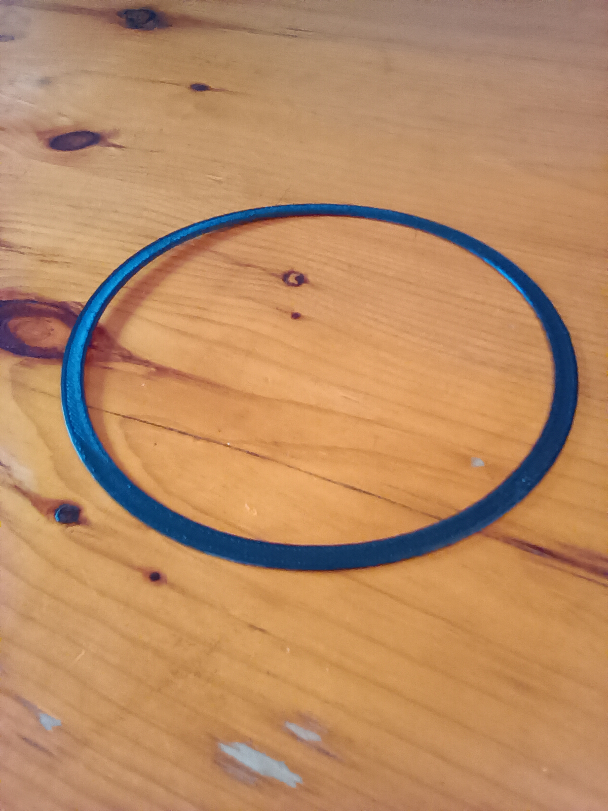 Frisbee