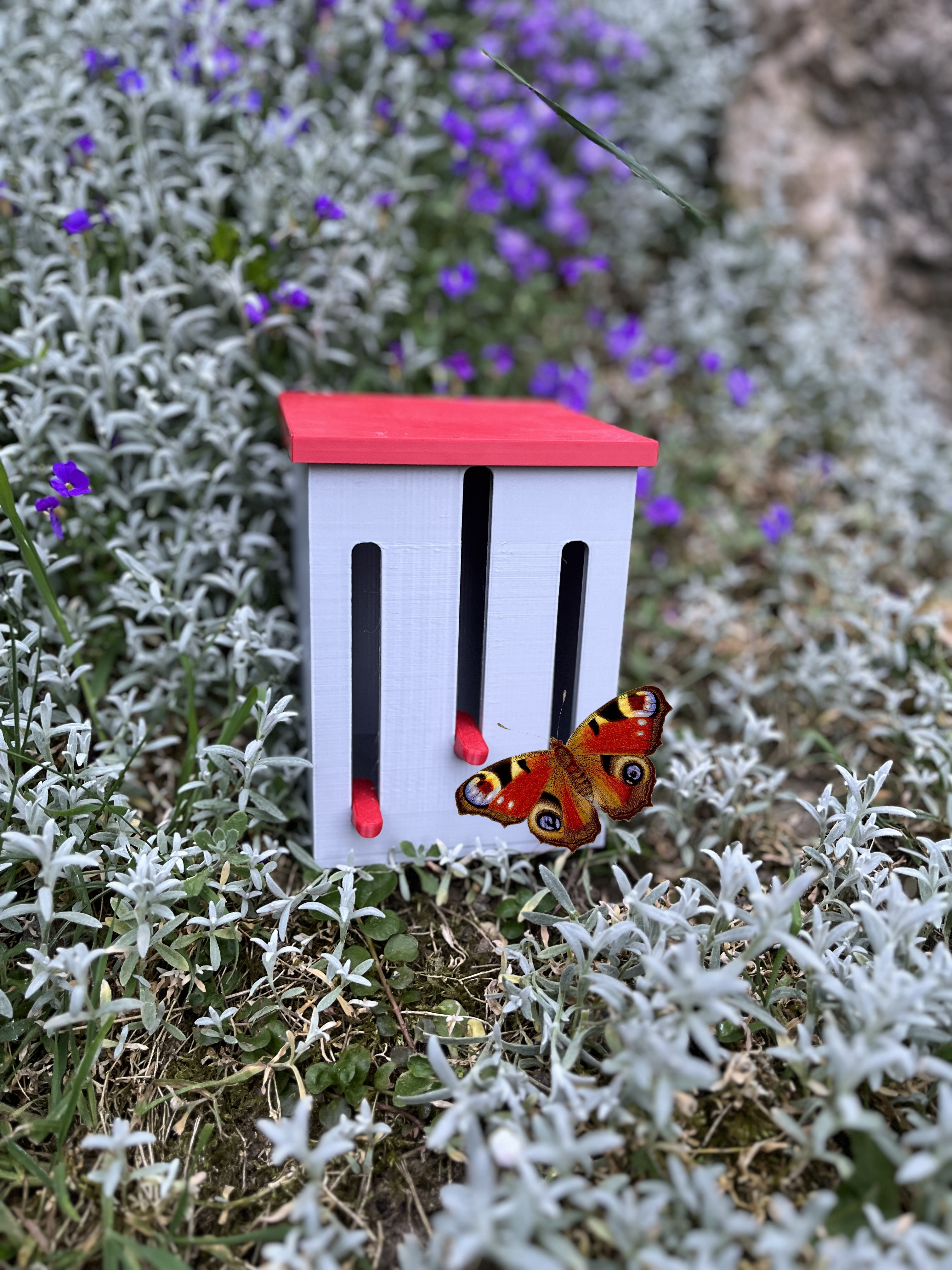 Butterfly Hostel
