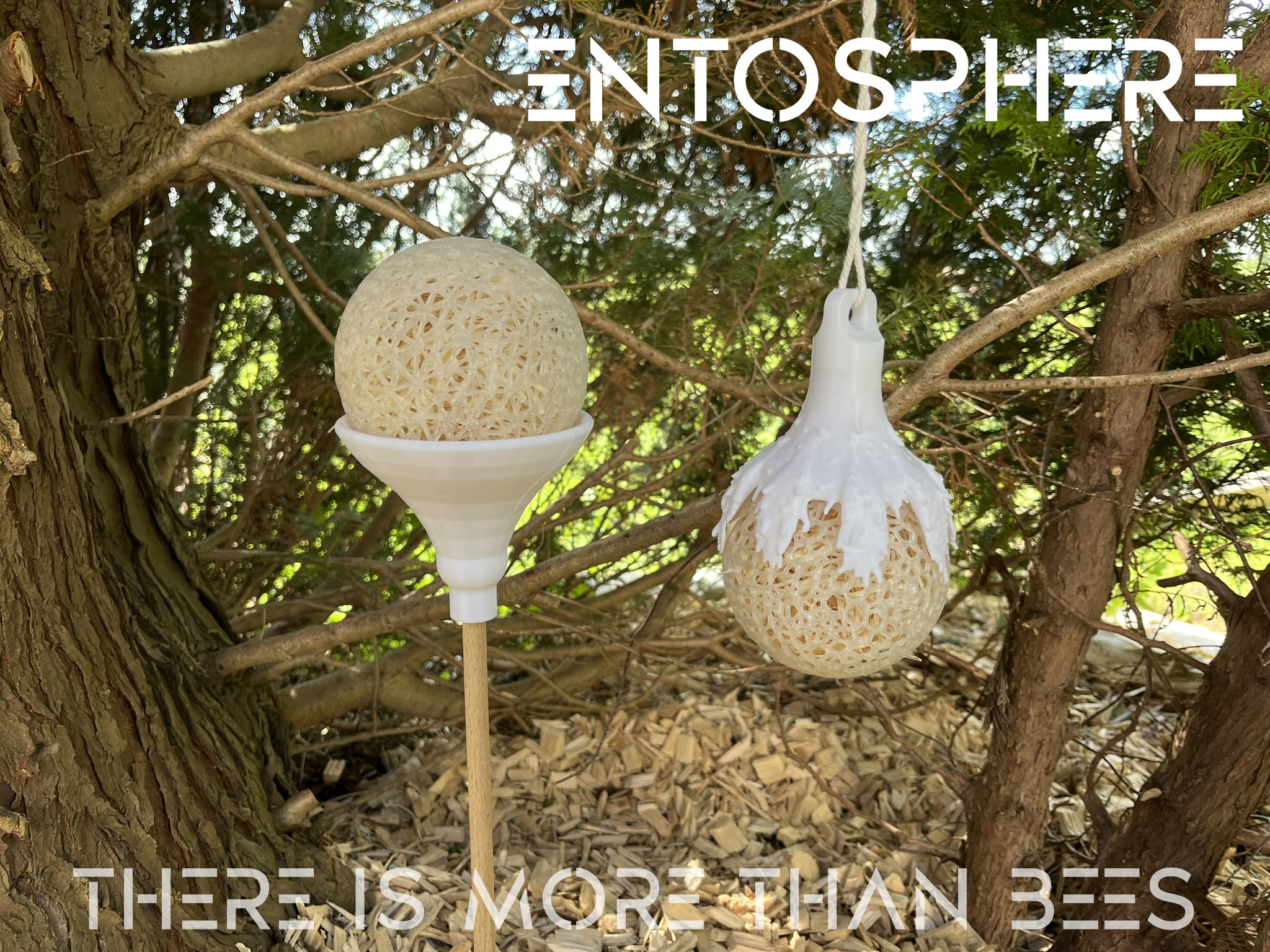 entosphere