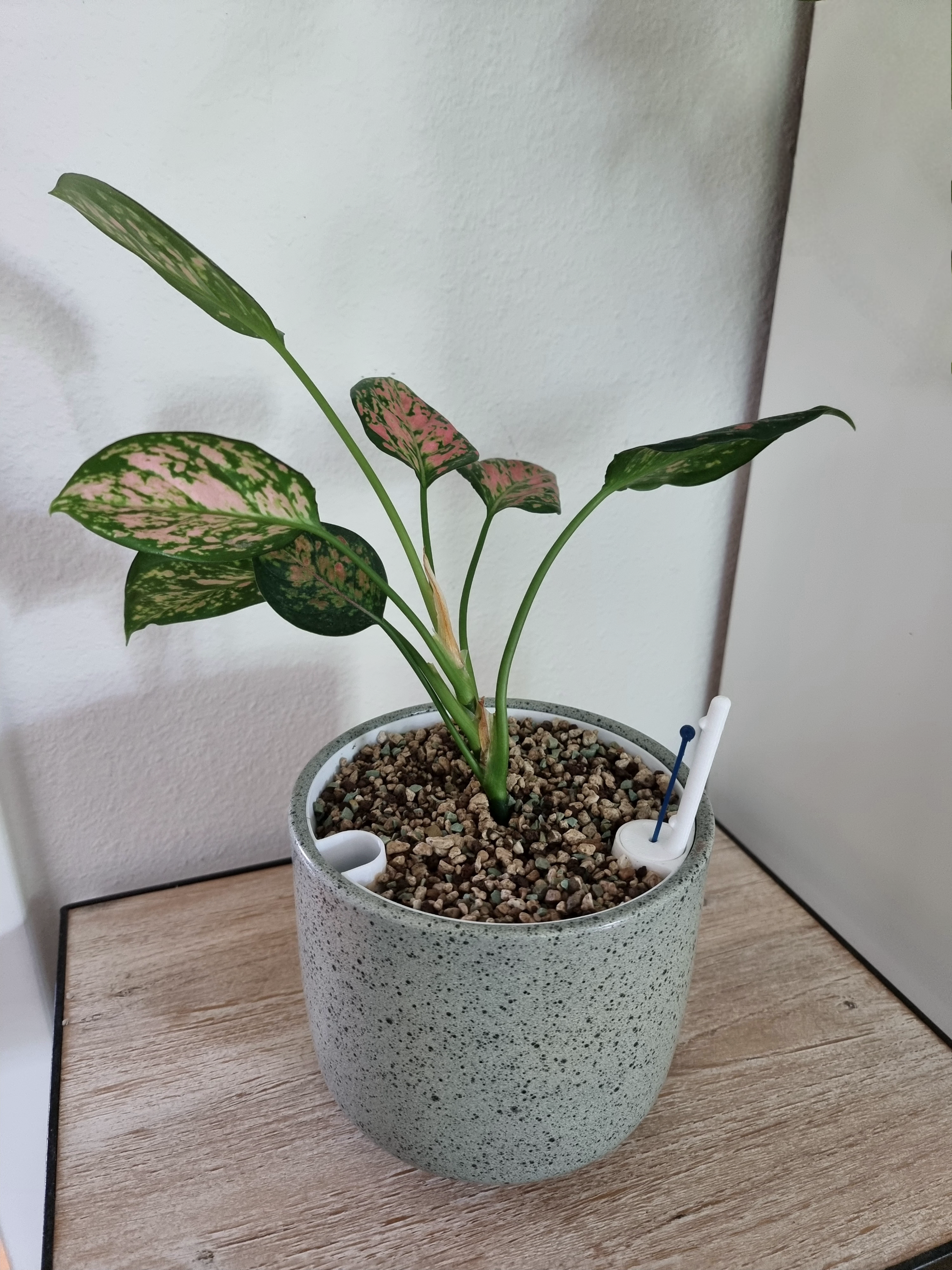 Parametric self-watering Inner Pot / Planter — Lechuza-Style