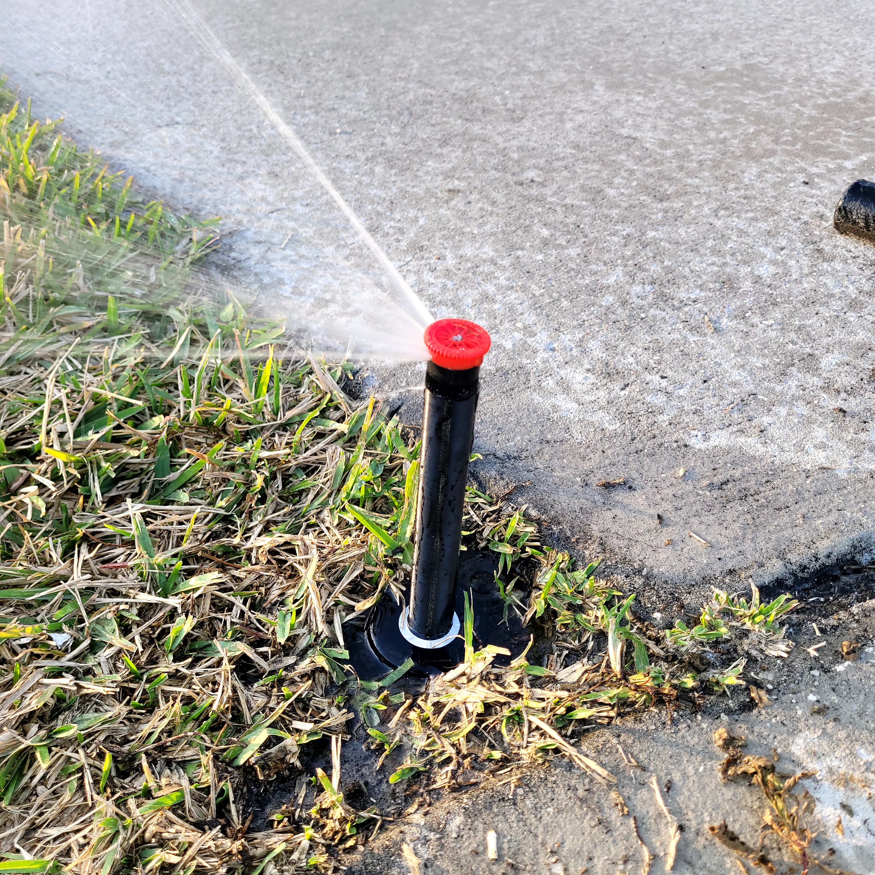 Hunter / Rainbird Pop Up Sprinkler