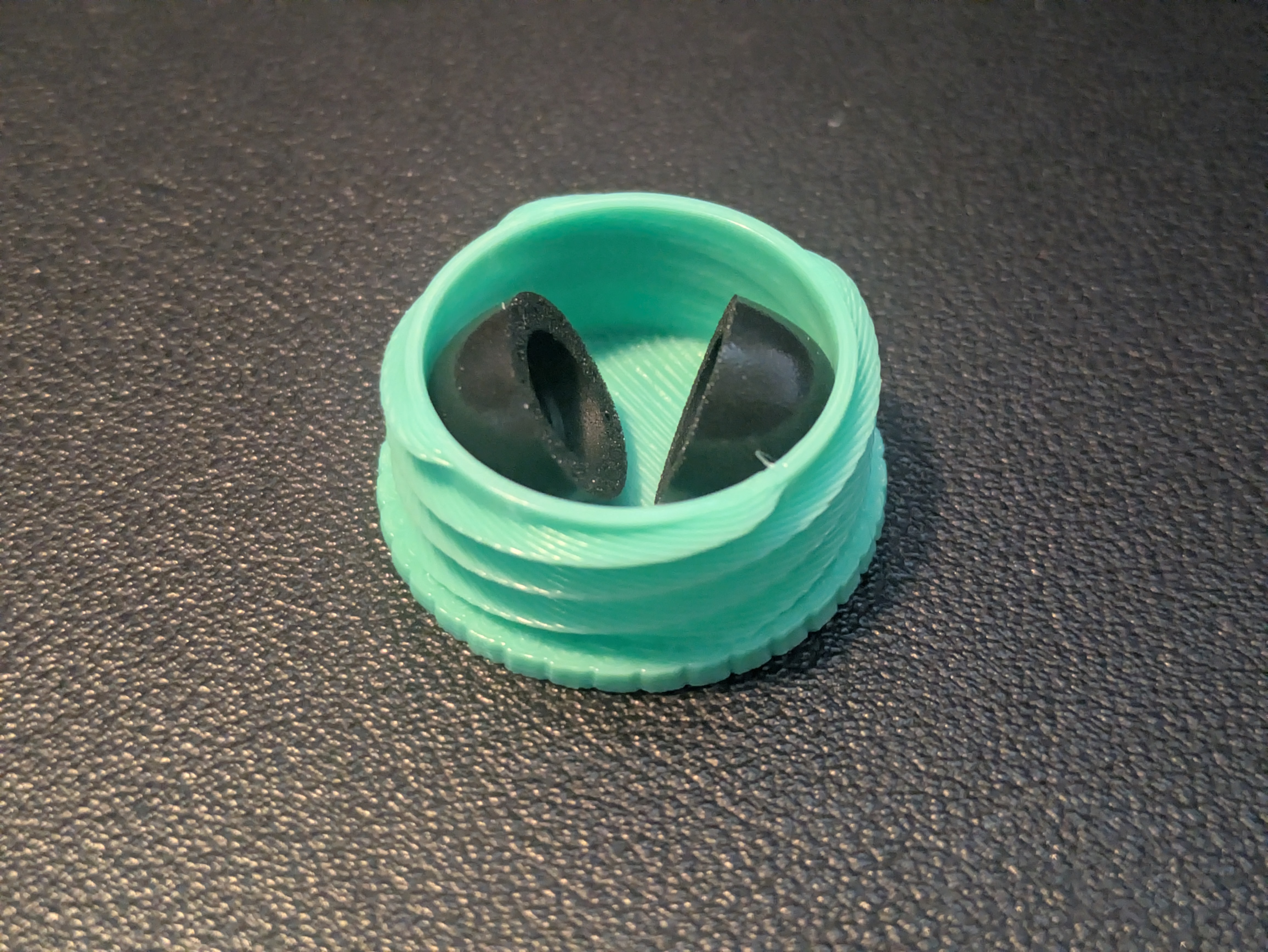 Ear Tip / Pill Holder for Travel 3D model