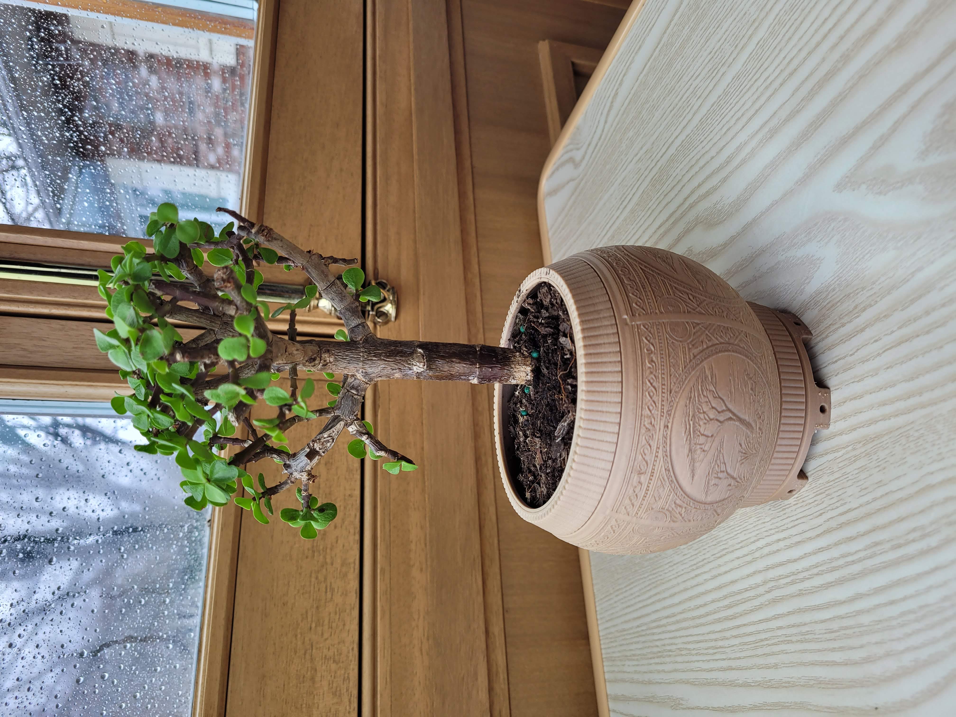 Carved Planter