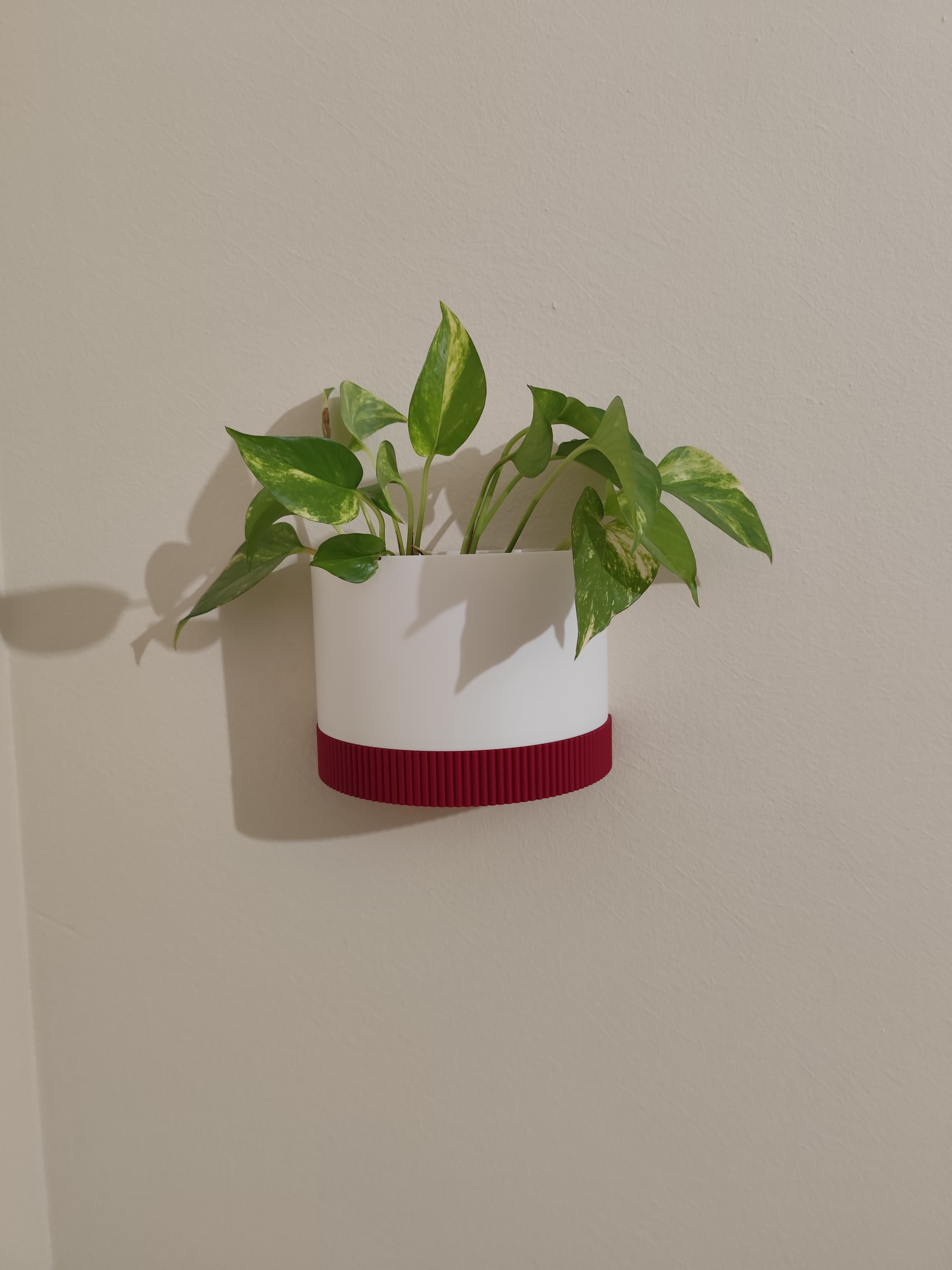 Wall mounted vase